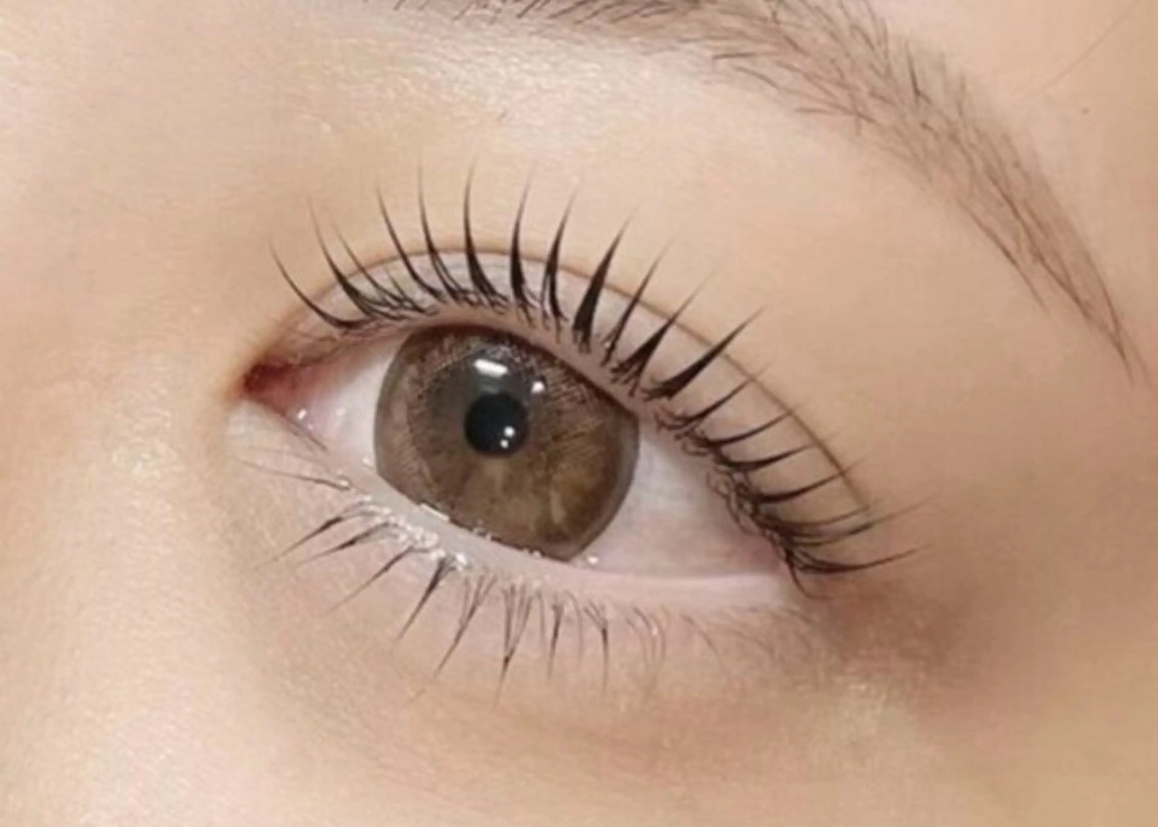 🫐 選べるまつげパーマ🫐 束感仕上げ付きの写真