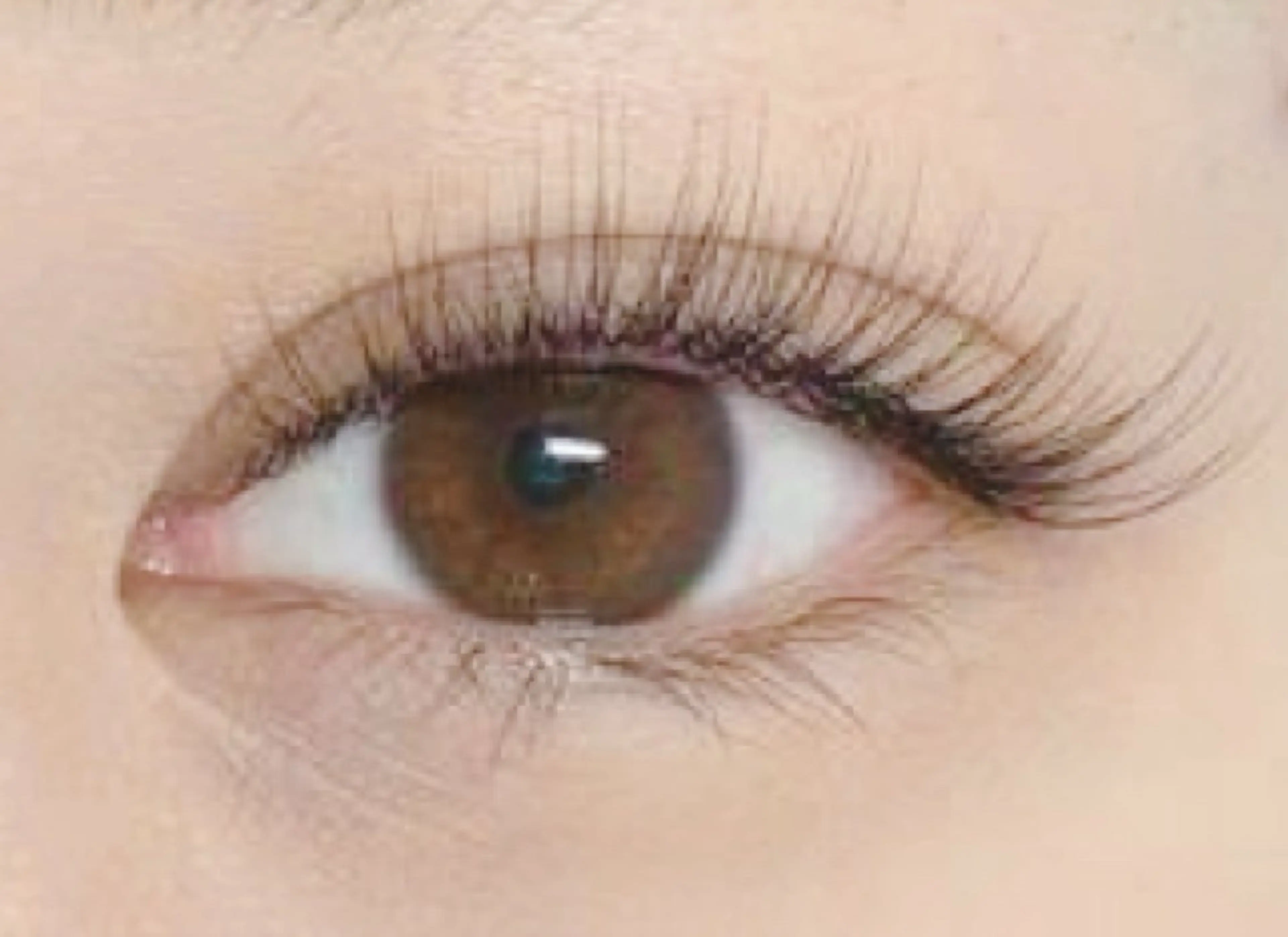 【アイラッシュ】束感＆フサフサ3DxフラットラッシュM 1X80本の写真