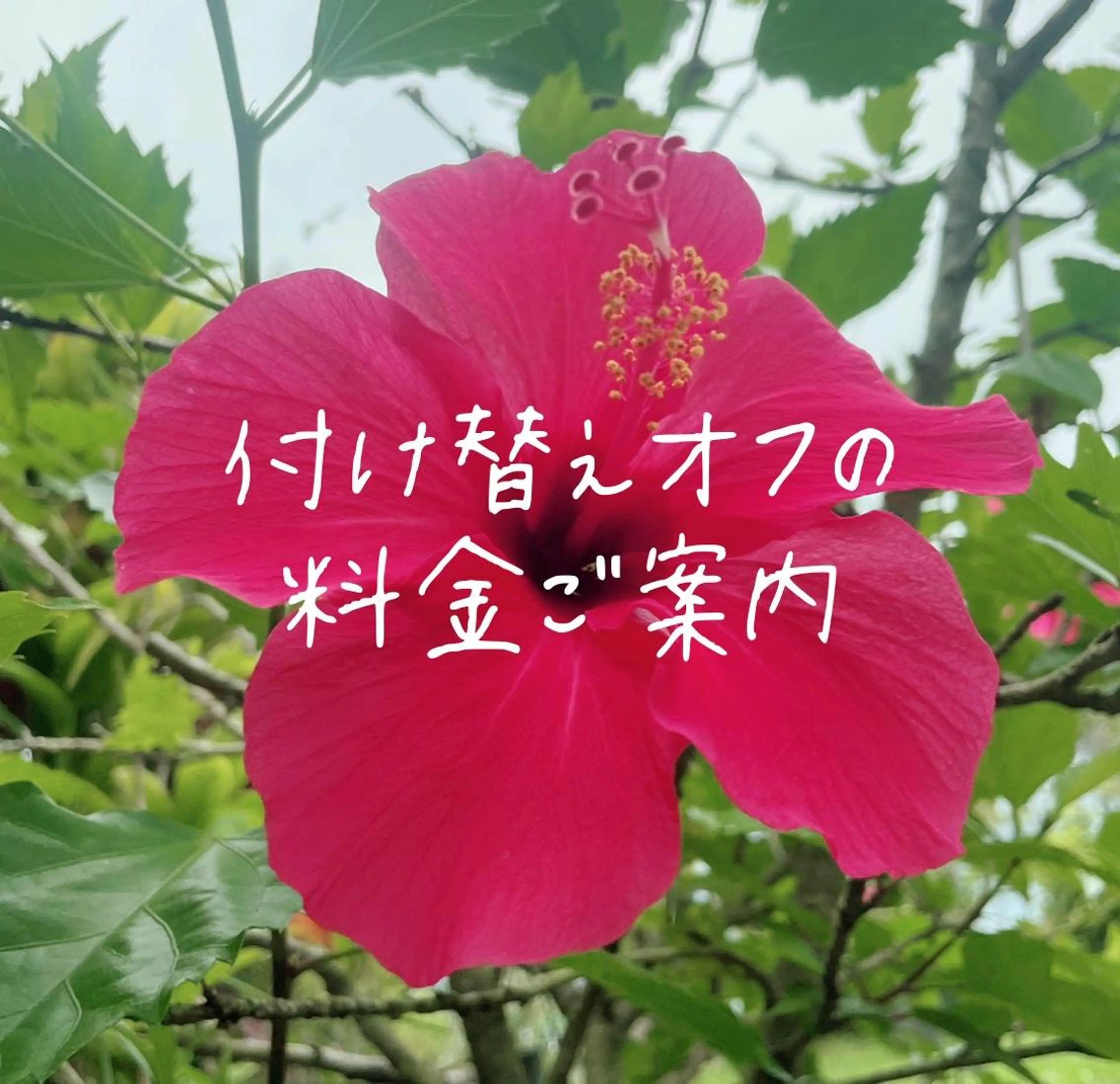 ネイル フットネイル ジェルネイル スカルプネイル その他 lune nail_2017のその他イメージ