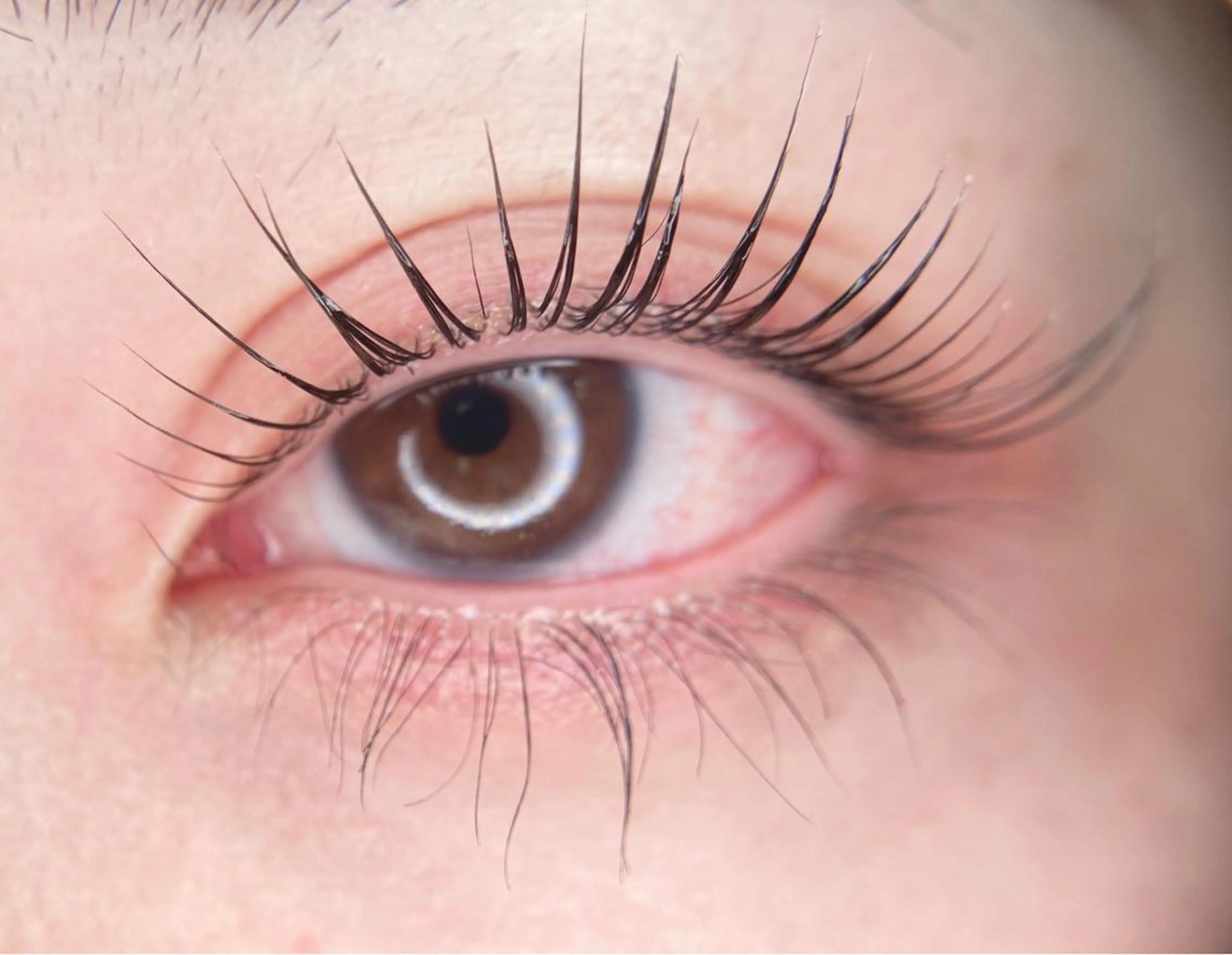 マツエク・マツパ マツパ －Ojiー セナのマツエク・マツパデザイン