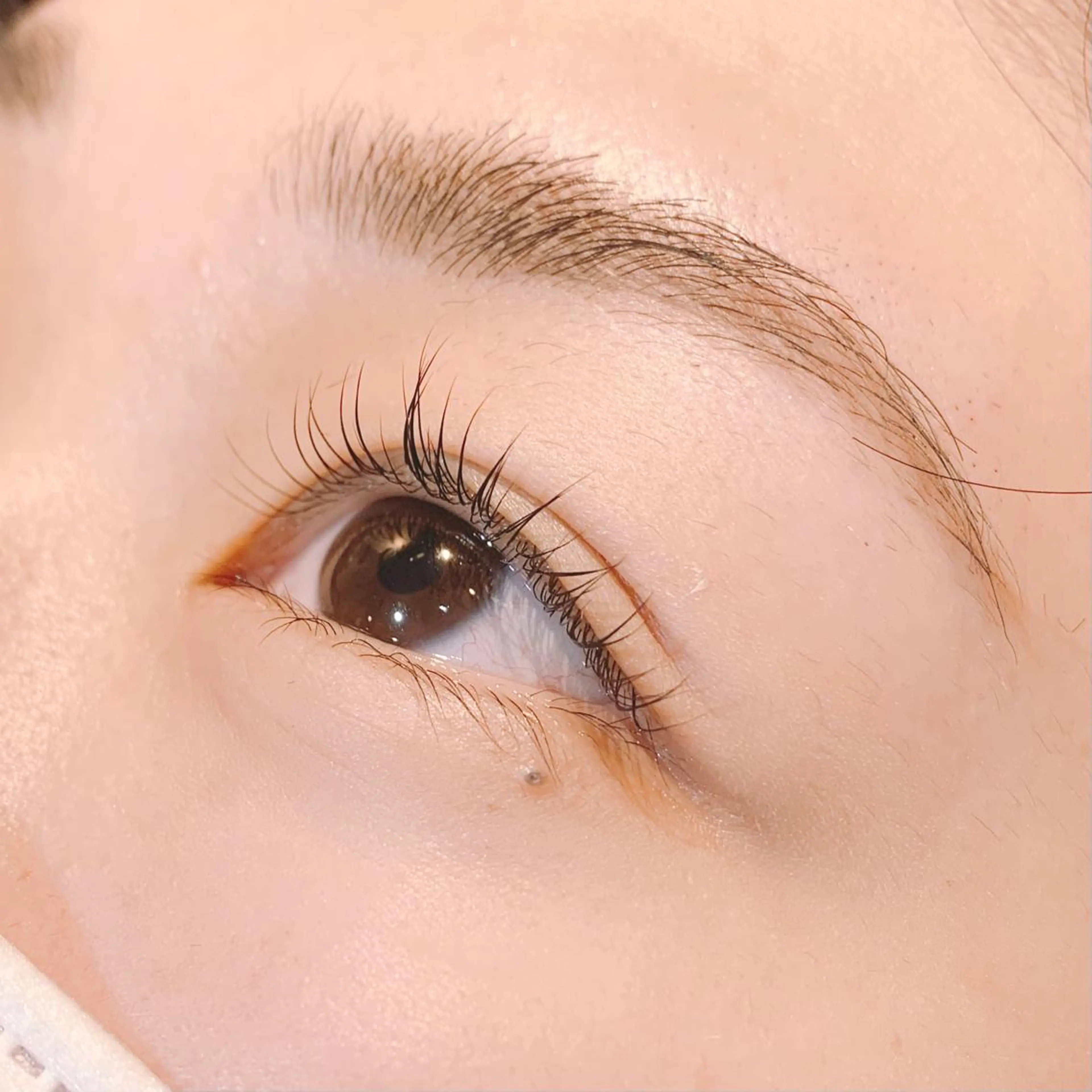 🌷ラッシュリフト➕アイブロウWAX脱毛🌷の写真