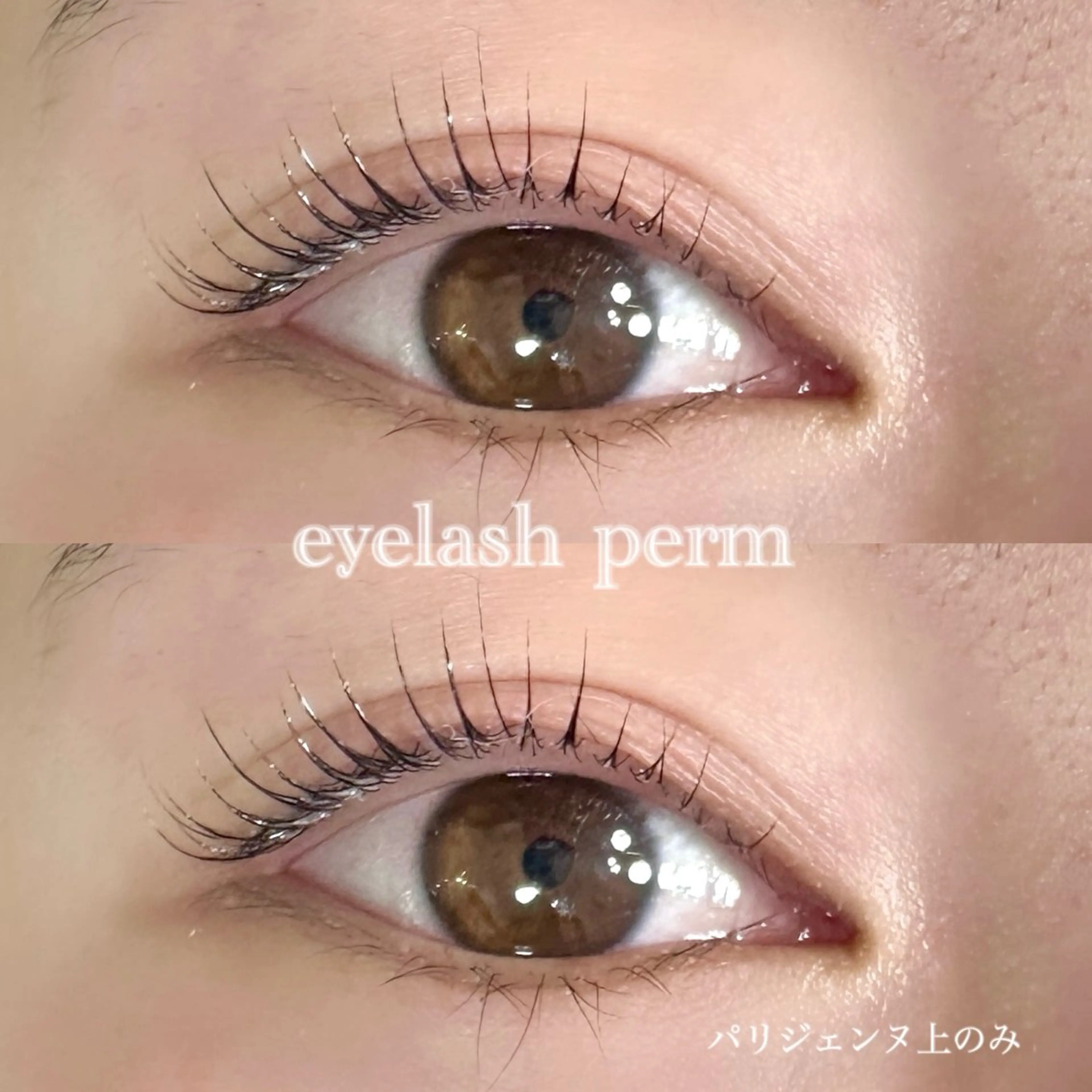 マツエク・マツパ パリジェンヌラッシュリフト マツパ マリーテレジア 🪽BANNOのマツエク・マツパデザイン