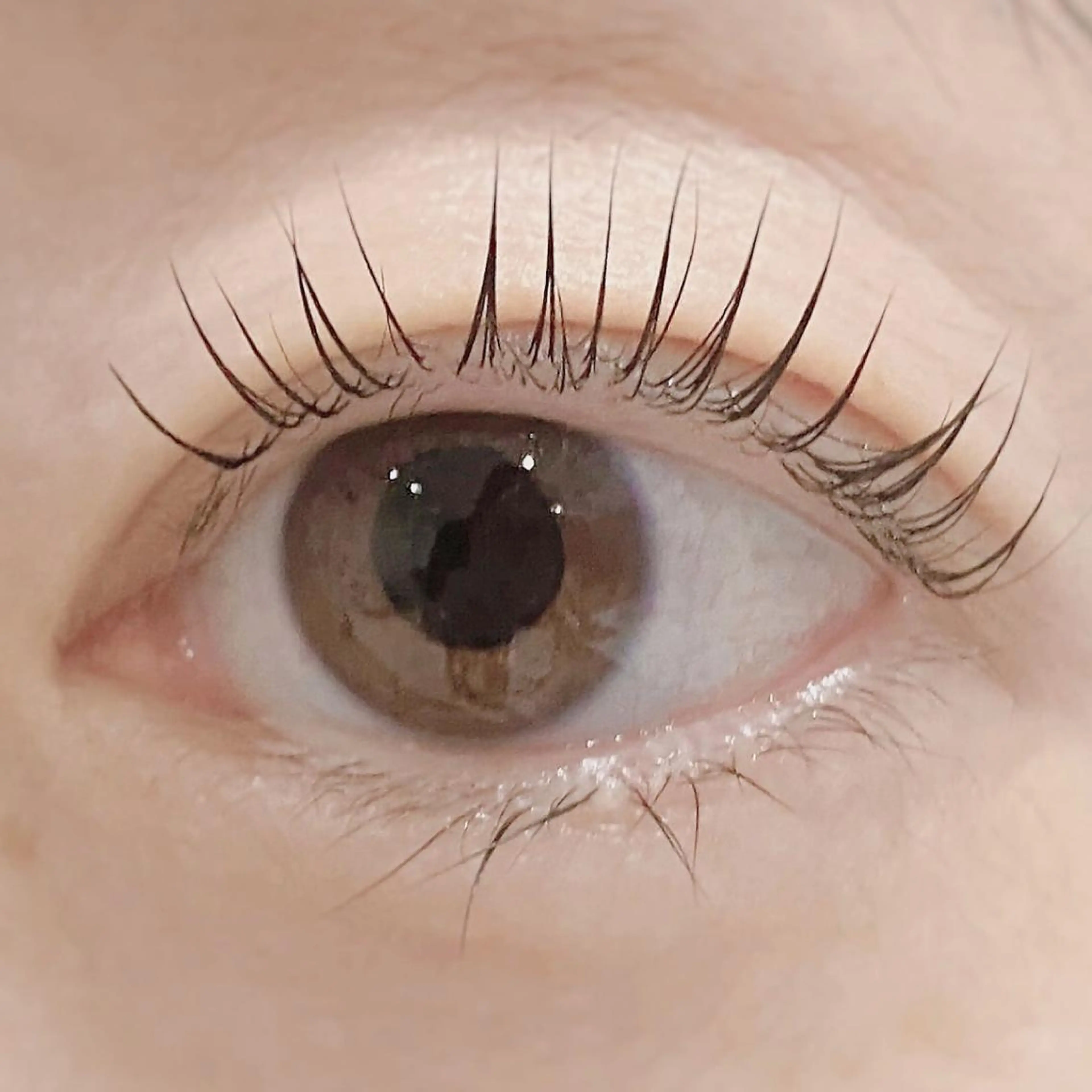 マツエク・マツパ パリジェンヌラッシュリフト August 大野のエステ・リラクイメージ