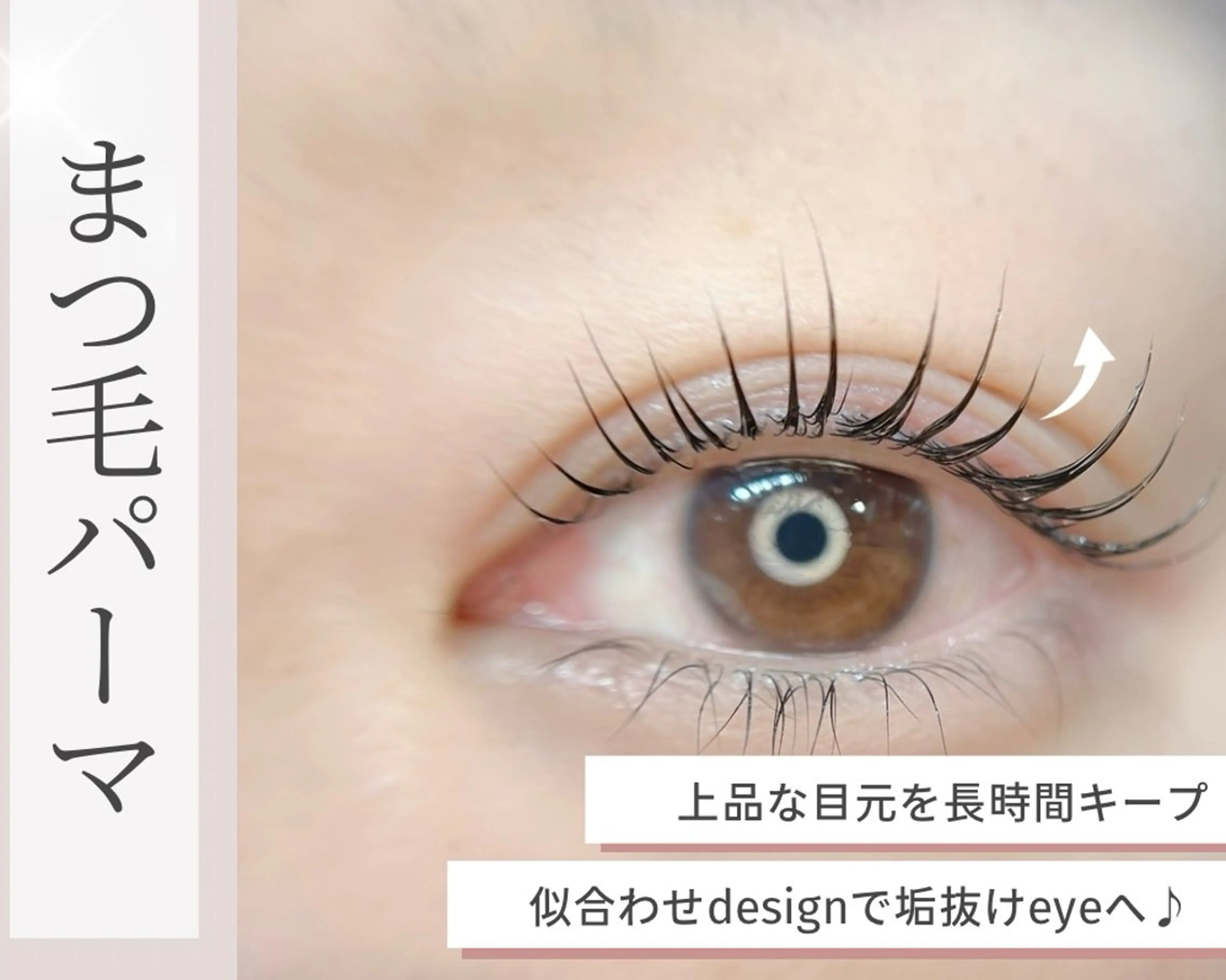 【🎀12月20日限定🎀】まつ毛美人が叶うまつ毛パーマTr付き /通常価格5400円→4500円の写真