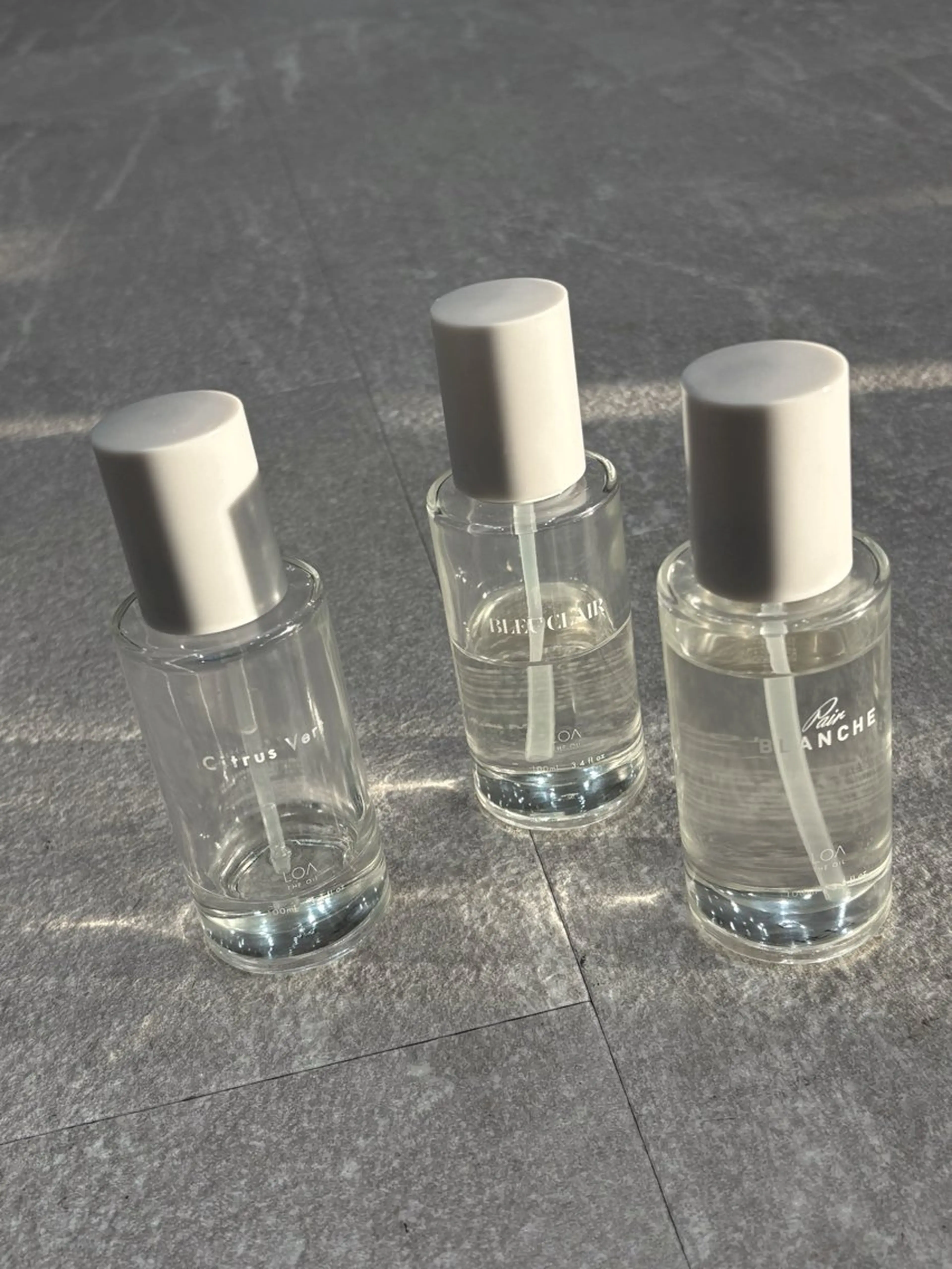 ハイトーン/カラー /ウルフ/RENAのヘアスタイル