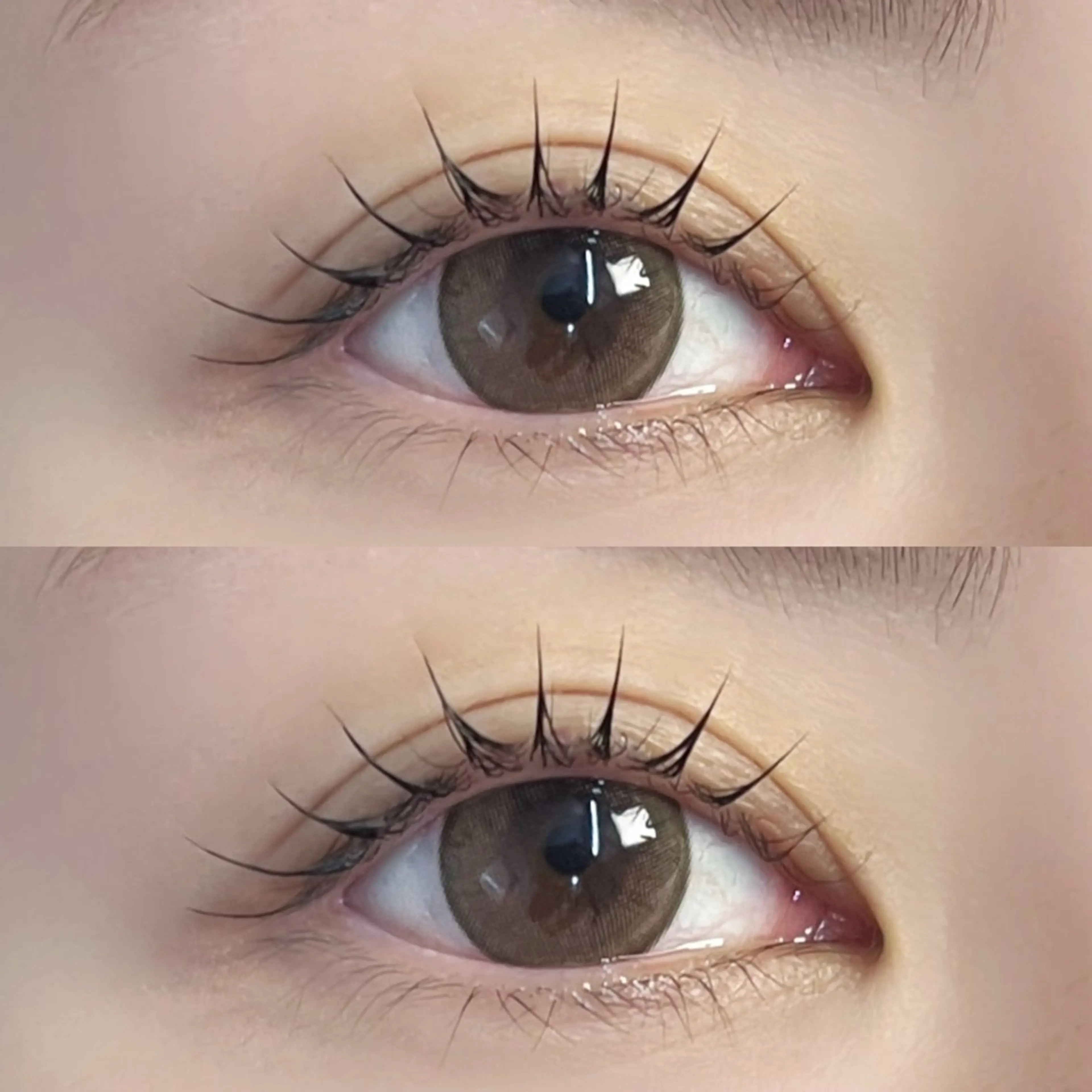 【当日限定価格】ラッシュリフト上🤍(マスカラティント＋550円)の写真