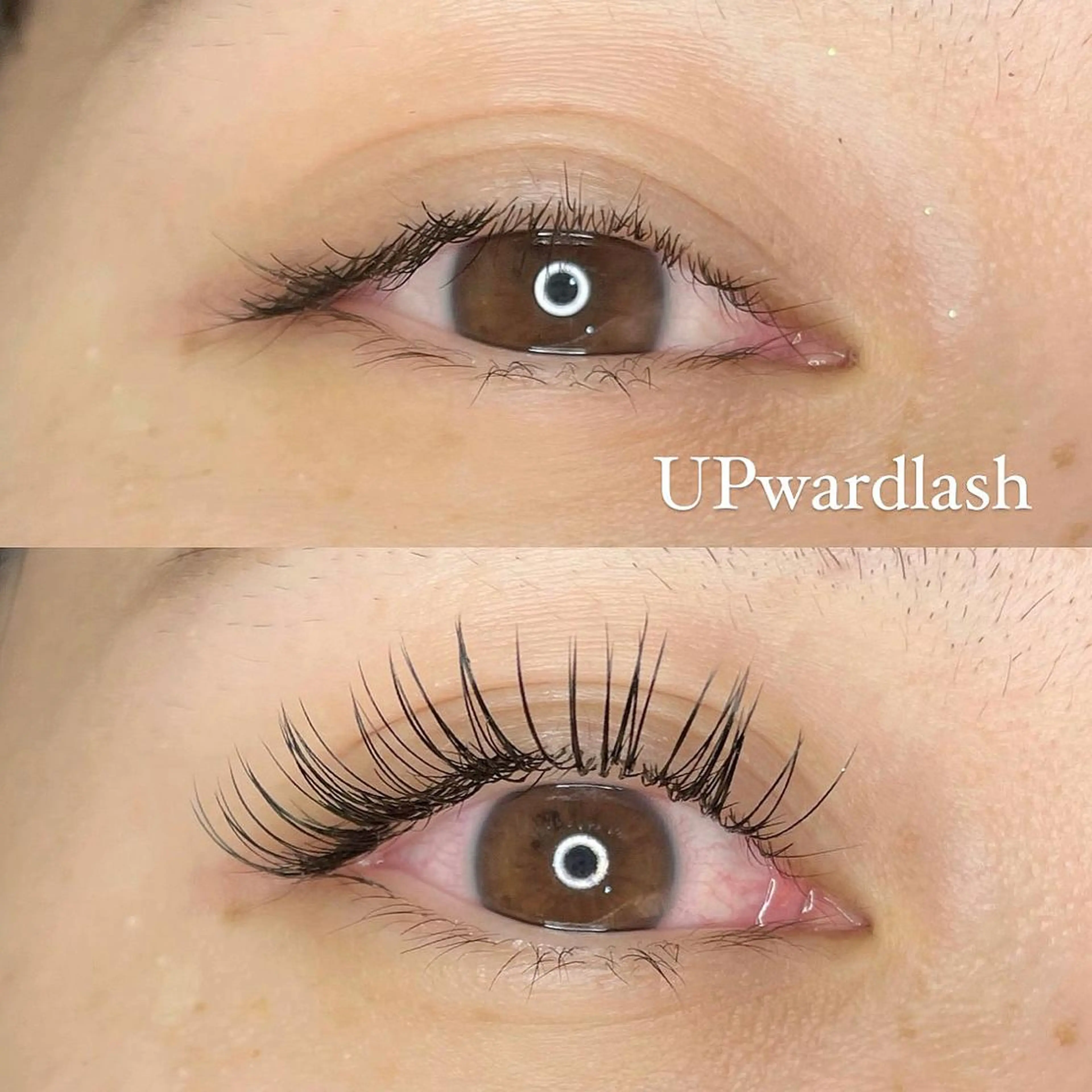 マツエク・マツパ フラットラッシュ アップワードラッシュ パリジェンヌ/美眉 OLIVIA加藤のマツエク・マツパデザイン