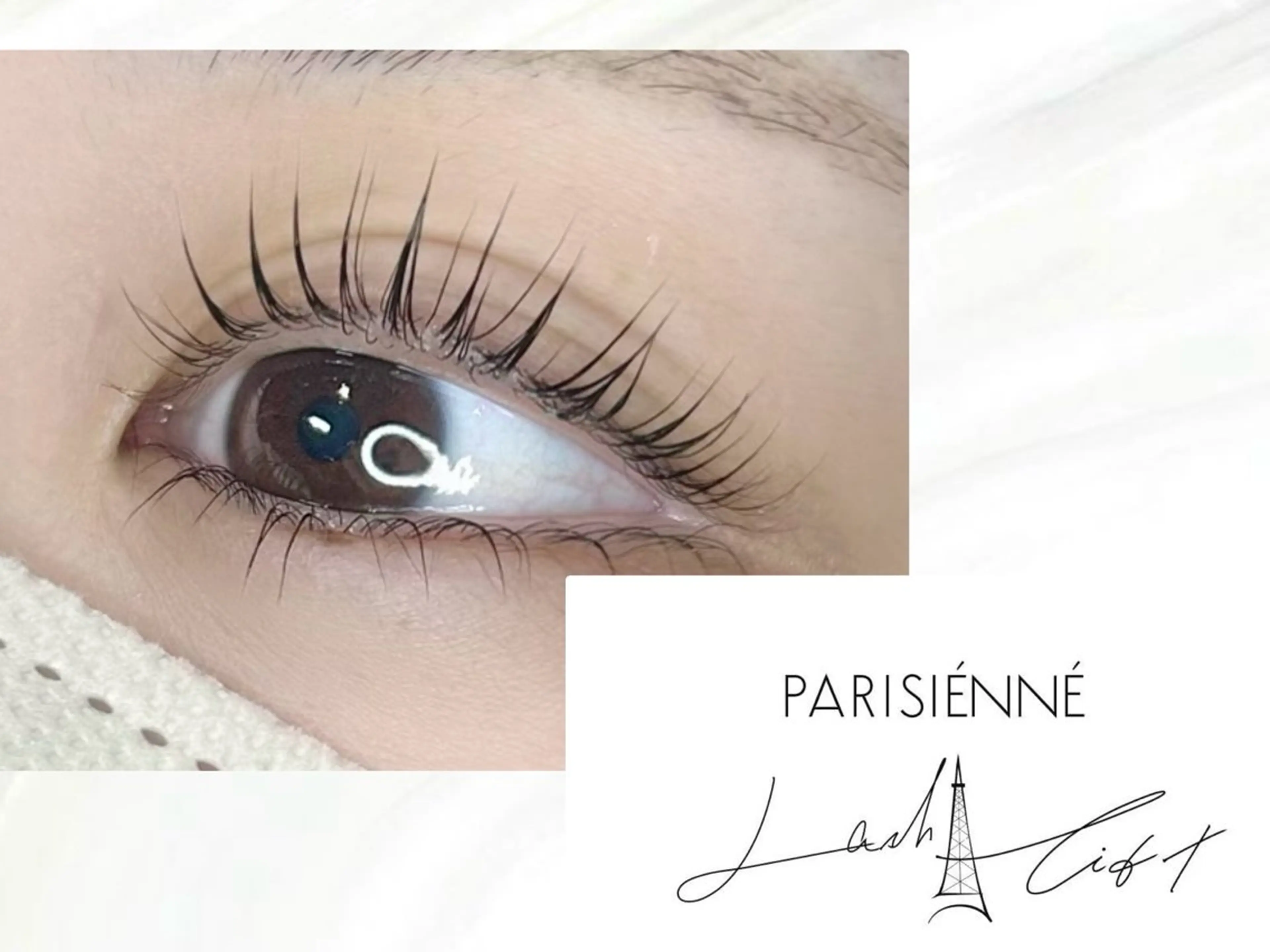 《リピート率No.1✨️》12月限定価格🪩🩶.*パリジェンヌラッシュリフト𓂃 再来+¥500の写真