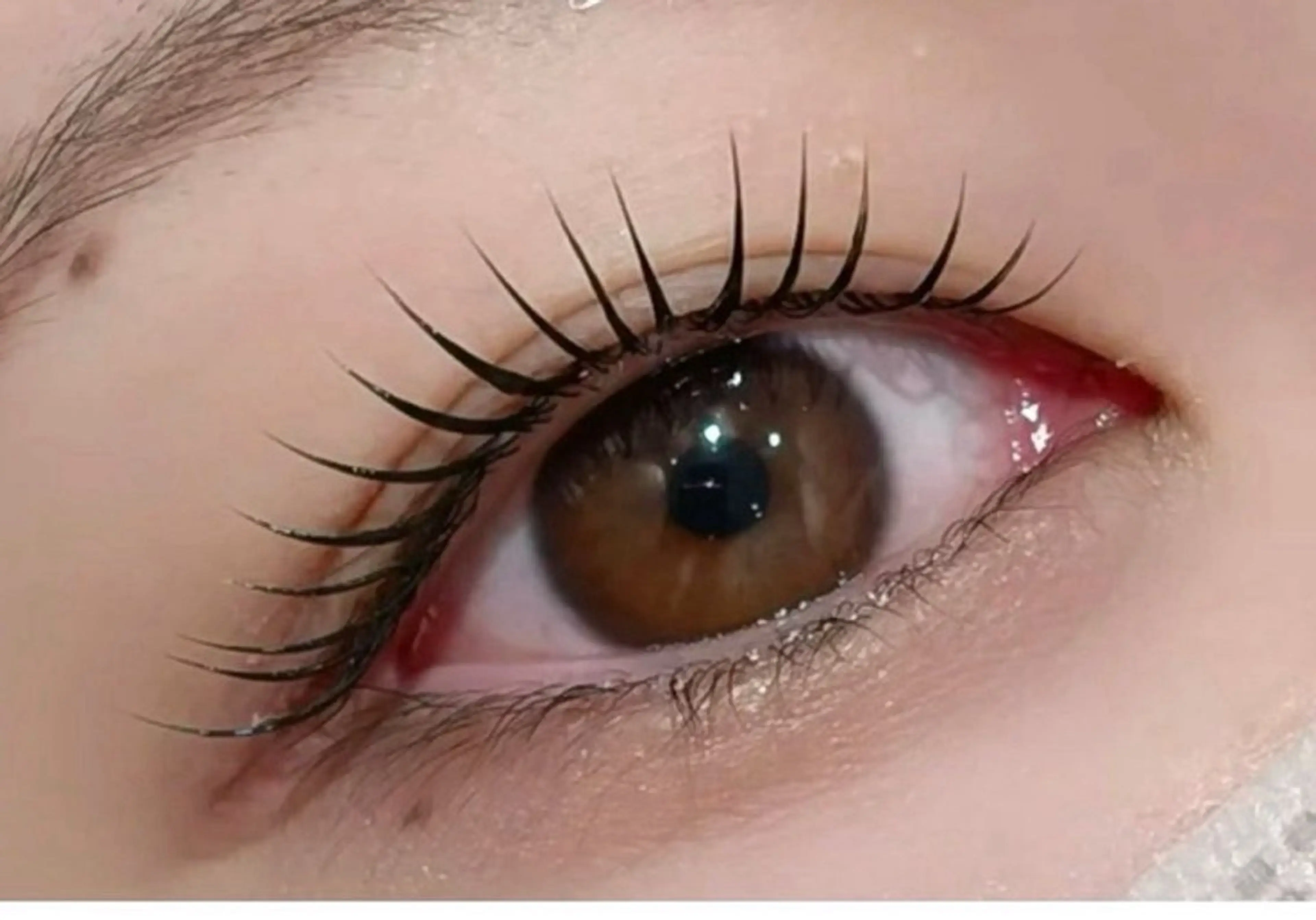 「NEW話題✨パリエク」パリゼェンヌ＋フラットラッシュ 100本美容液＆アイシャンプー付き¥8500の写真