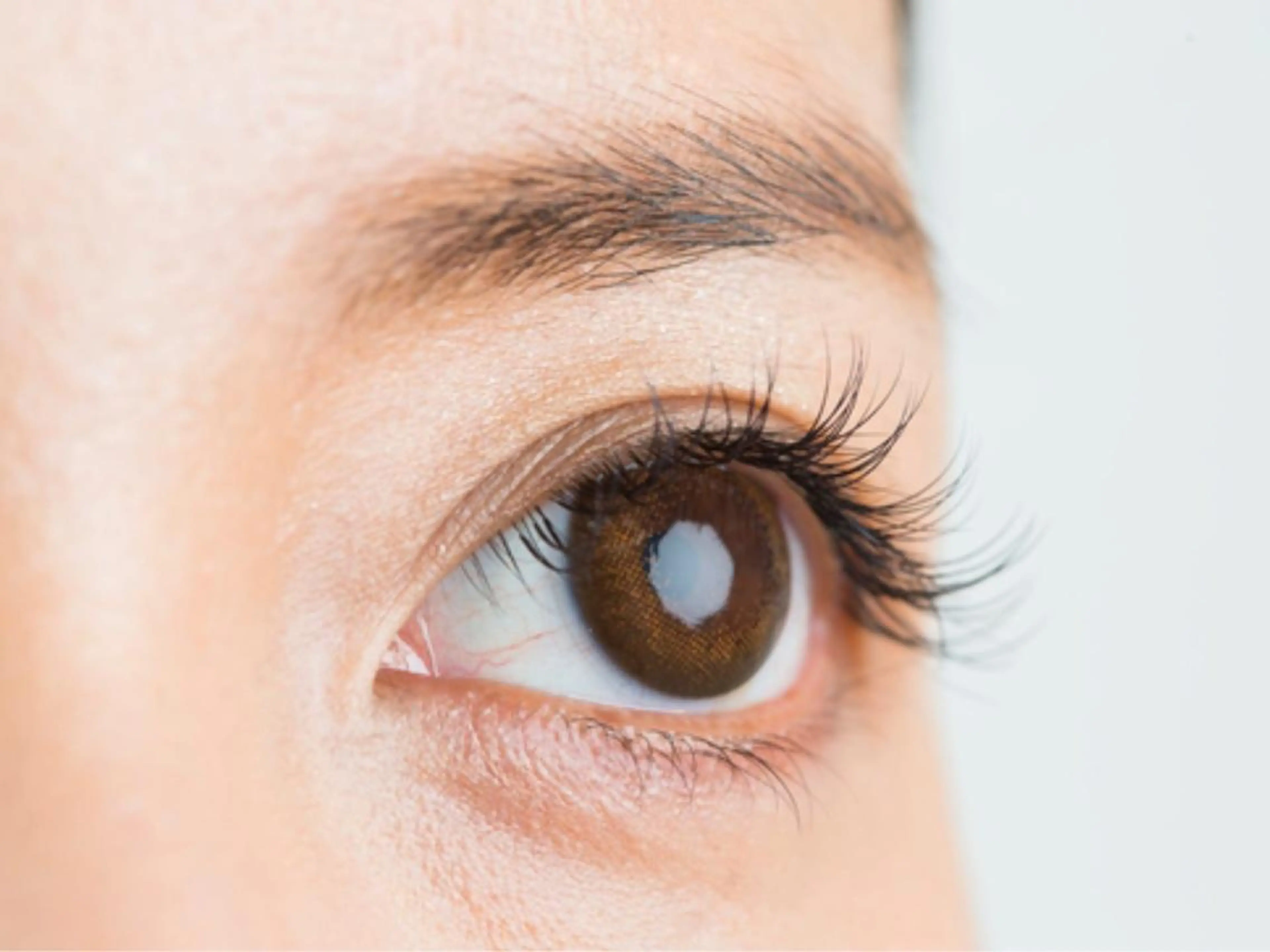 マツエク・マツパ ナチュレ所属・ナチュ レのマツエク・マツパデザイン