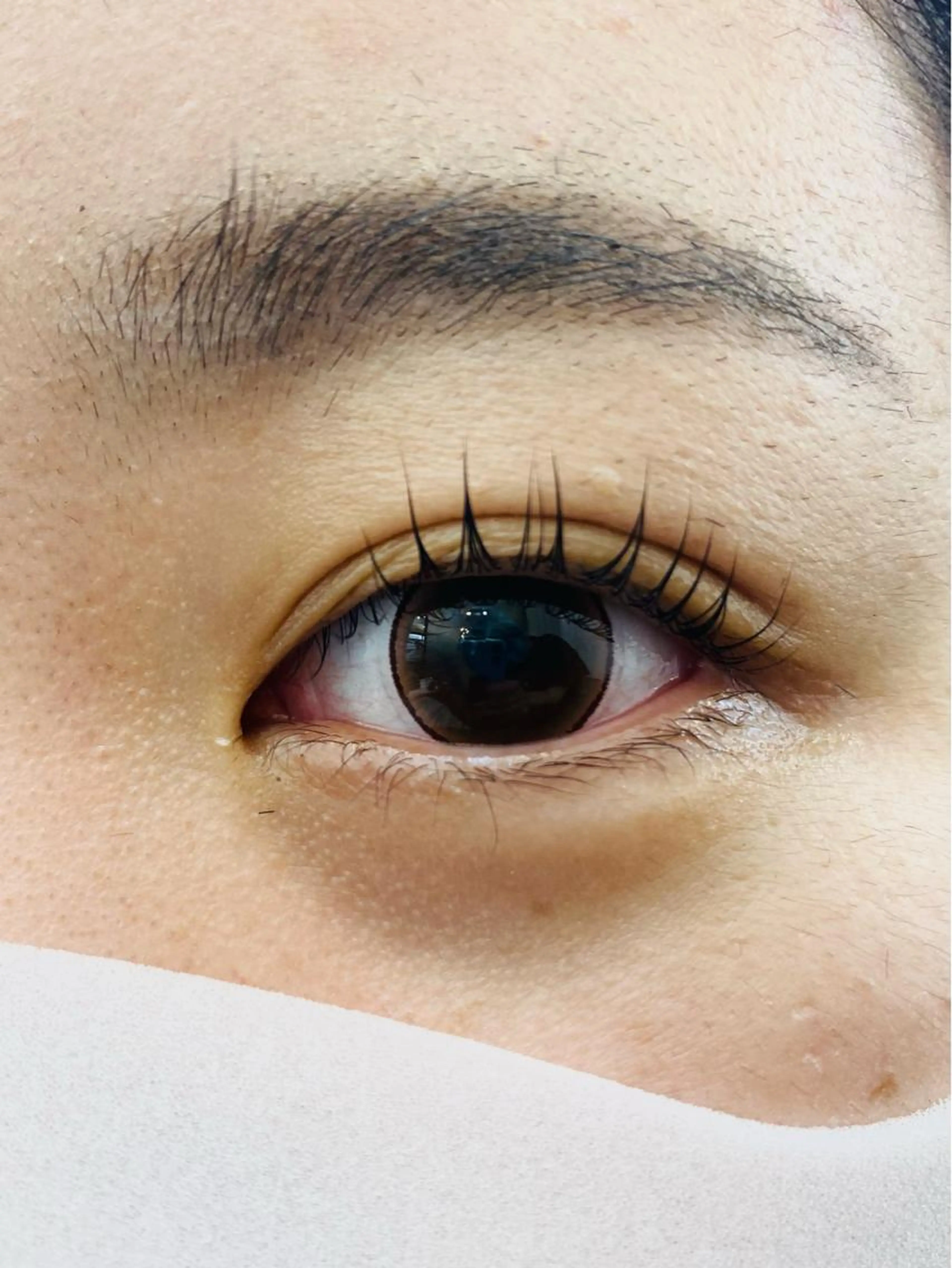 ラッシュリフト美容液コーティング付きの写真