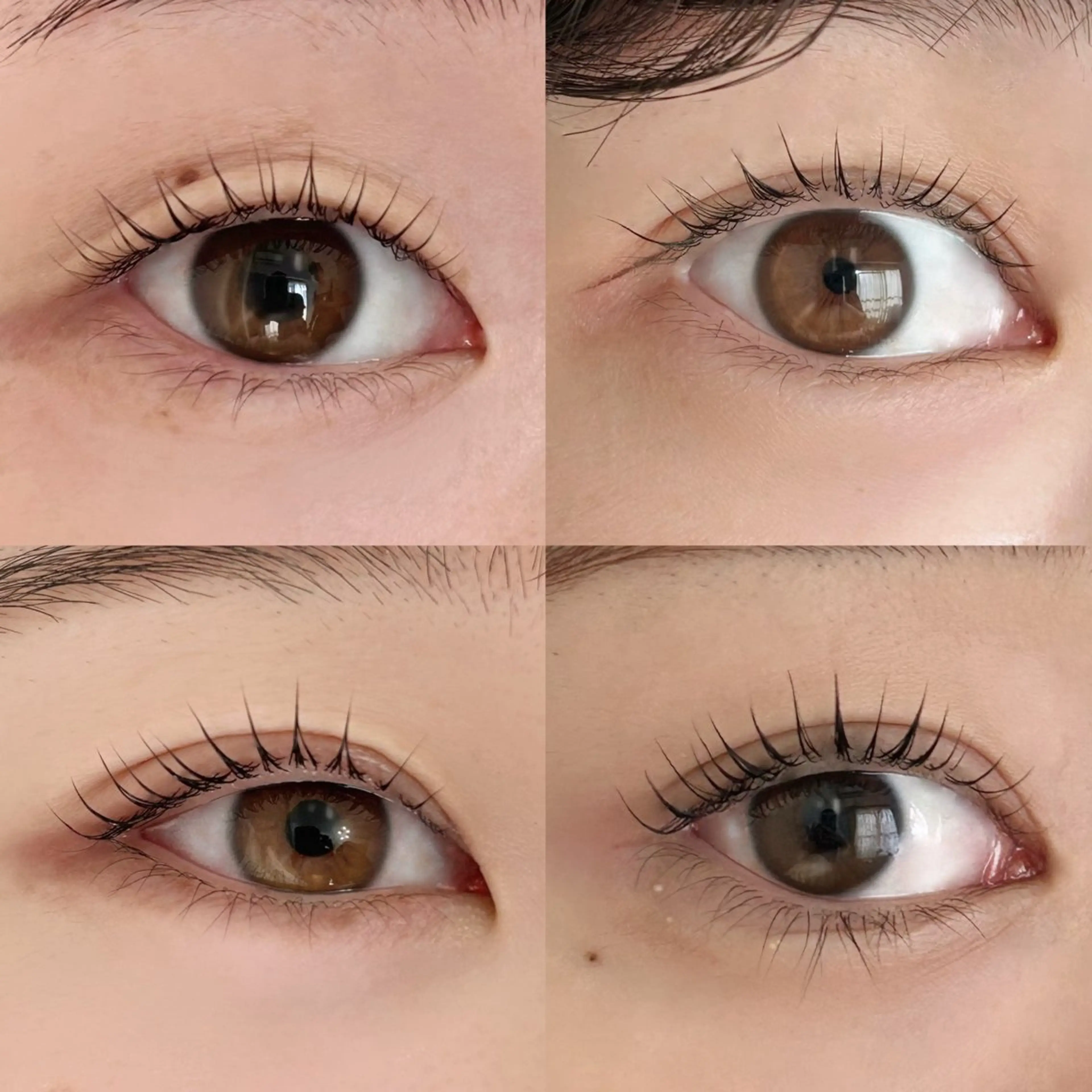 マツエク・マツパ ロレインブロウ 二俣川店所属・ロレインブロウ 二俣川店のマツエク・マツパデザイン