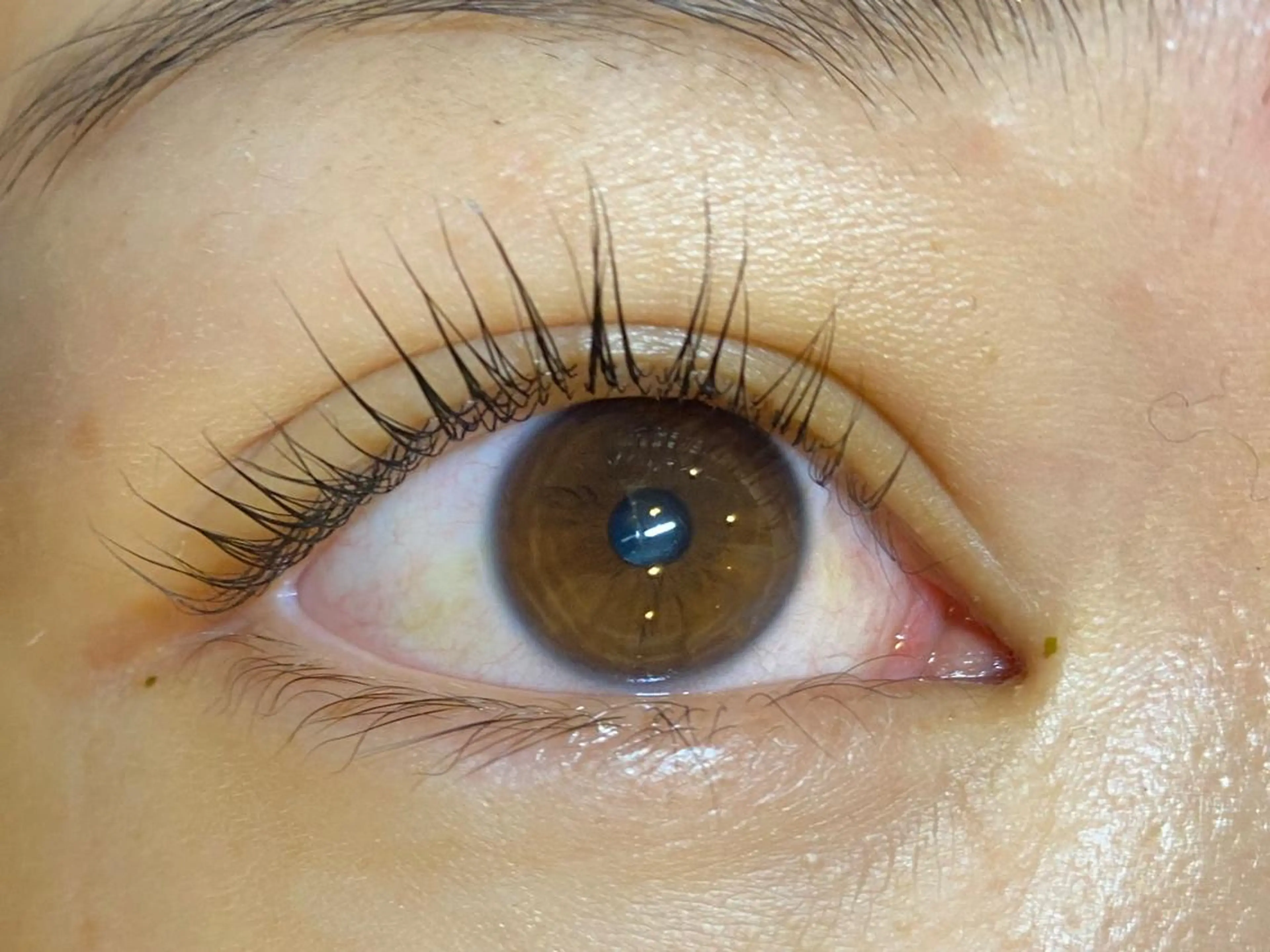 マツエク・マツパ DaisyLash 京橋店のマツエク・マツパデザイン