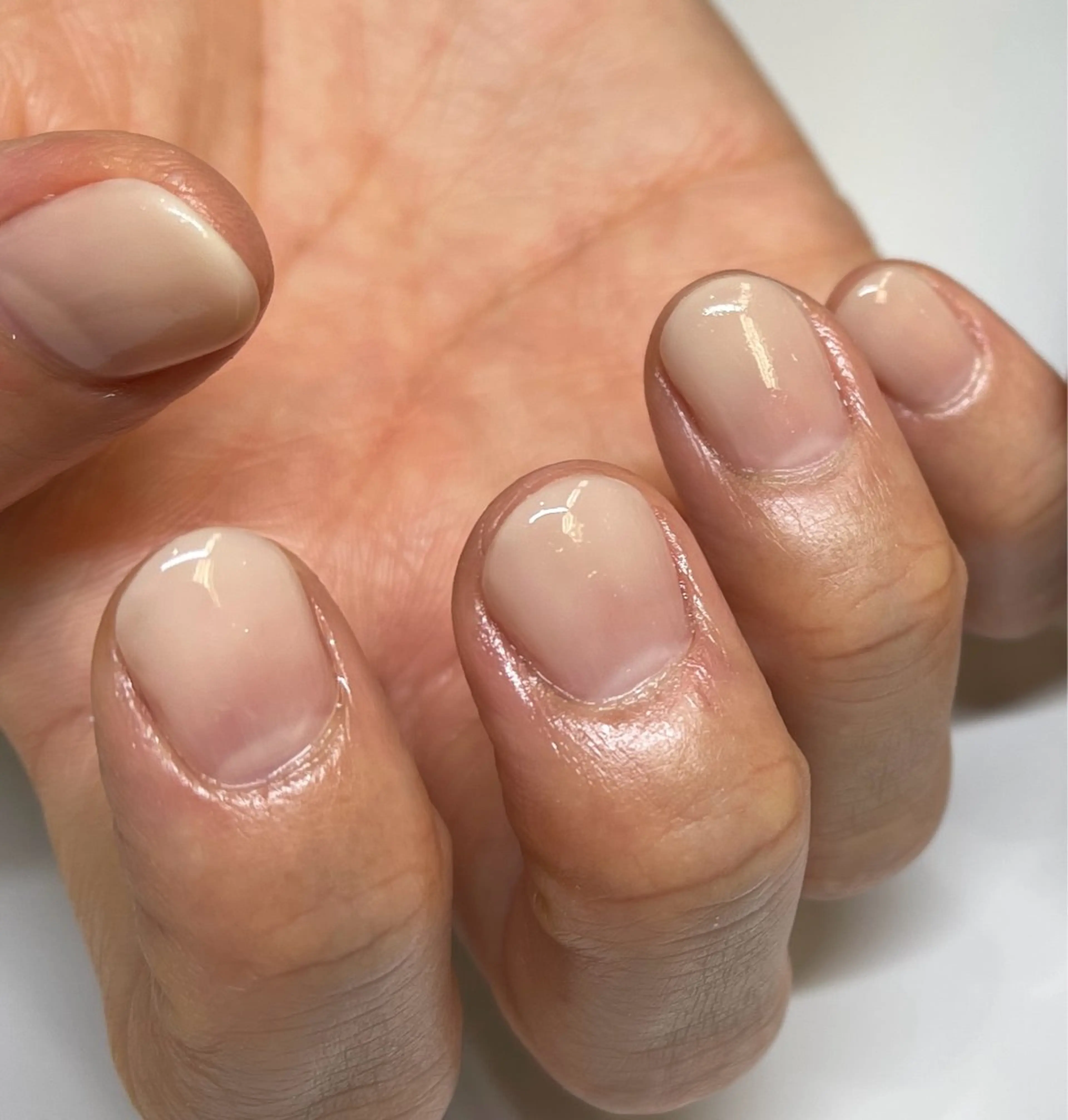 12/22.24　 ハンド【白限定グラデーション】クリアベース）ジェルオフ込み🔰初心者にご理解頂ける方の写真