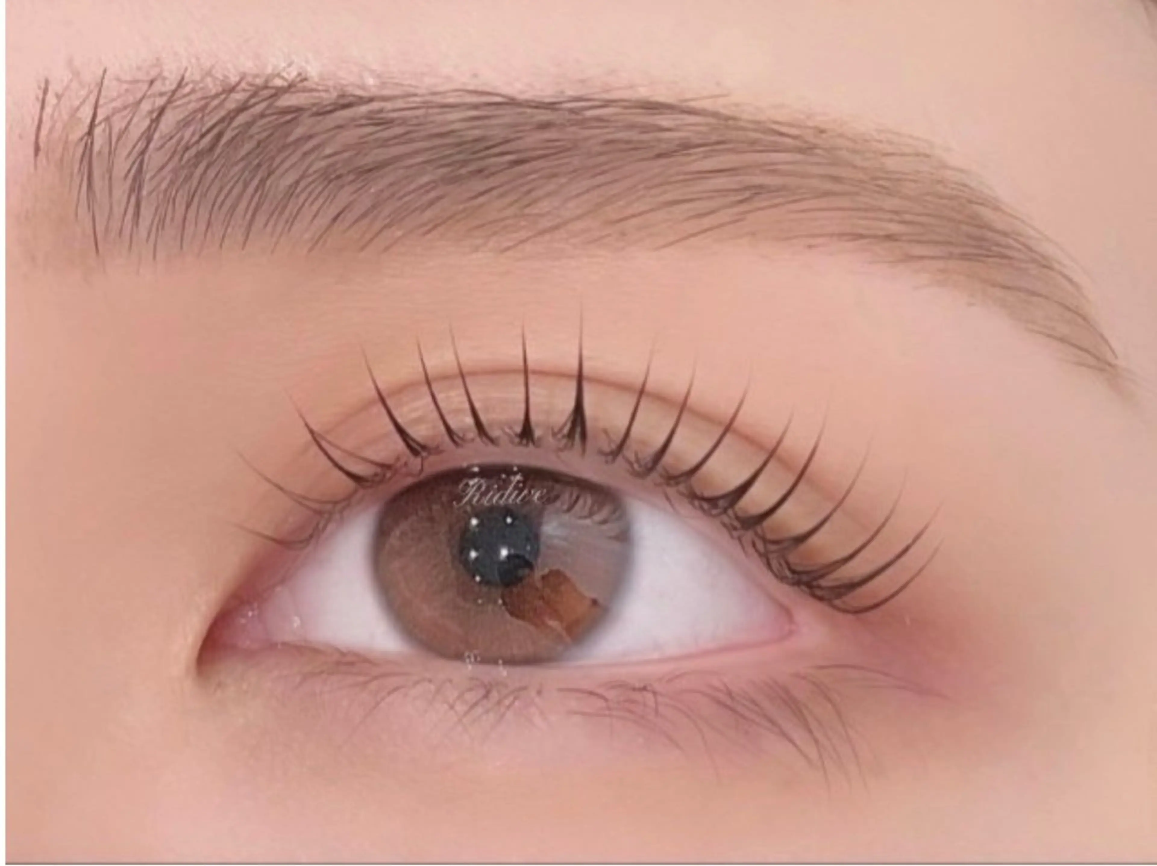 マツエク・マツパ アイブロウサロンRidive【吉祥寺所属・Ridive Ruiのマツエク・マツパデザイン