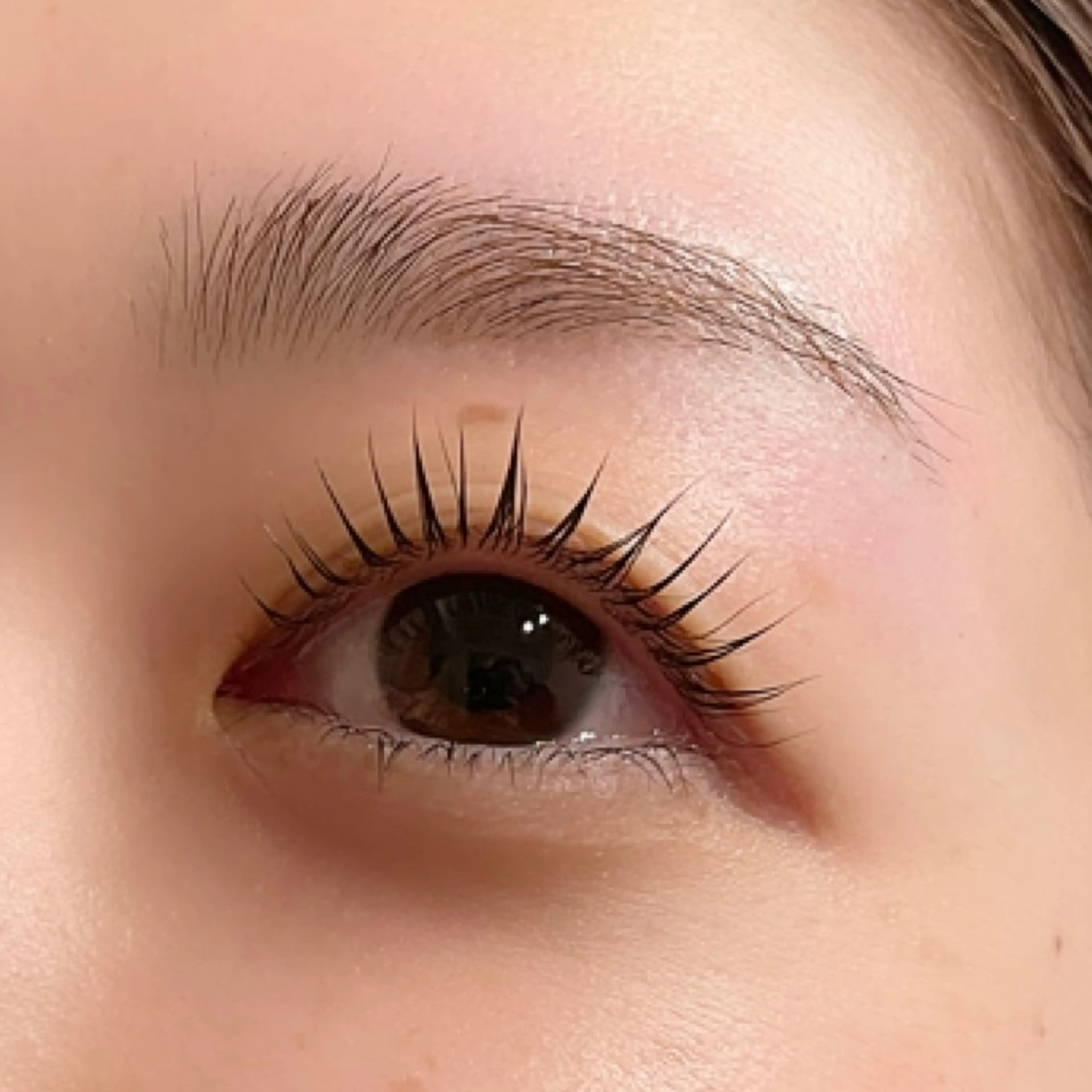 マツエク・マツパ ナチュラル眉まつ毛 ／ラウレアの眉毛・アイブロウイメージ