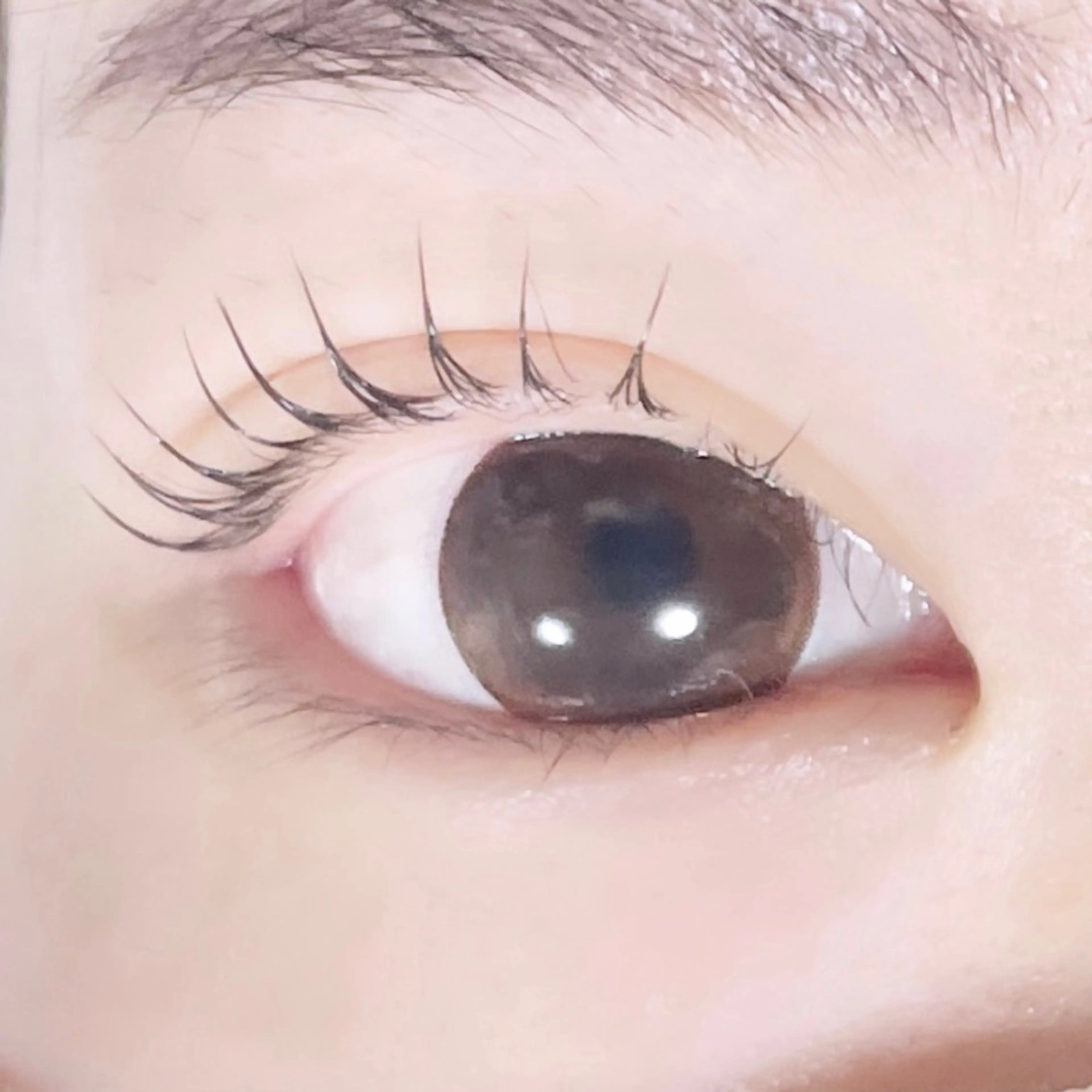 マツエク・マツパ TAKEO🖤 マリーテレジア藤が丘のマツエク・マツパデザイン