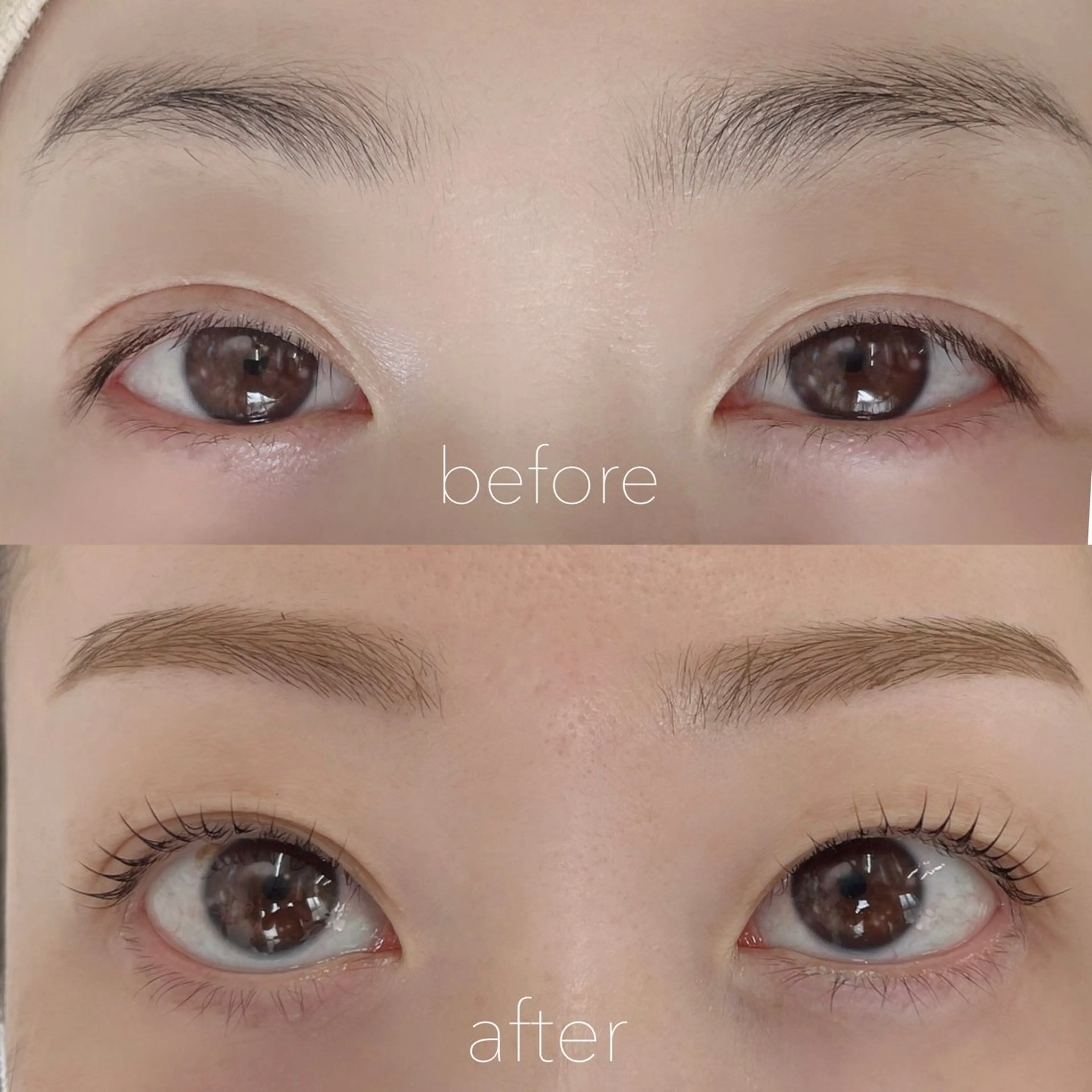 【選べるデザイン】まつげパーマ＋美眉デザインwaxの写真