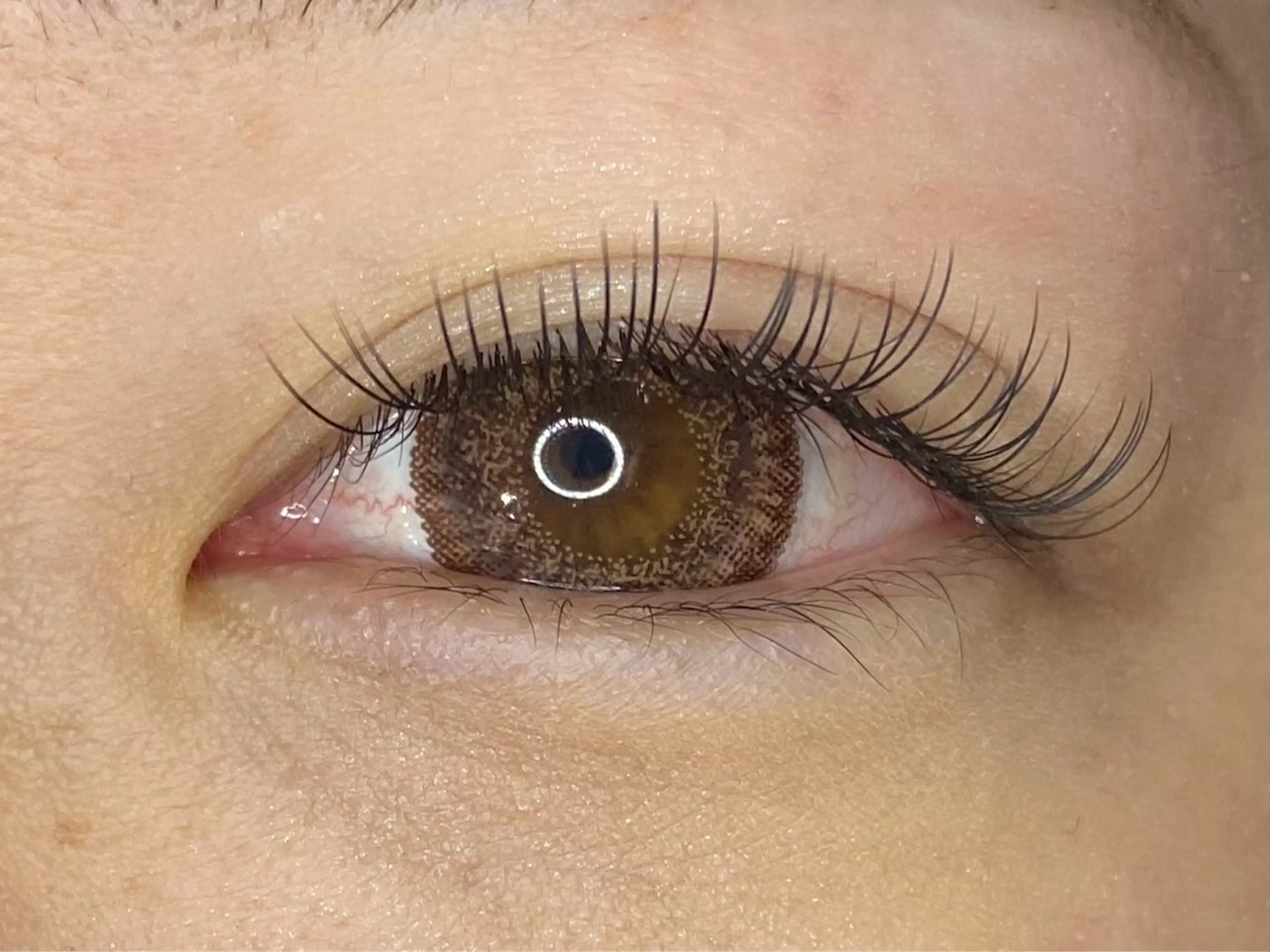 フラットラッシュ80本の写真