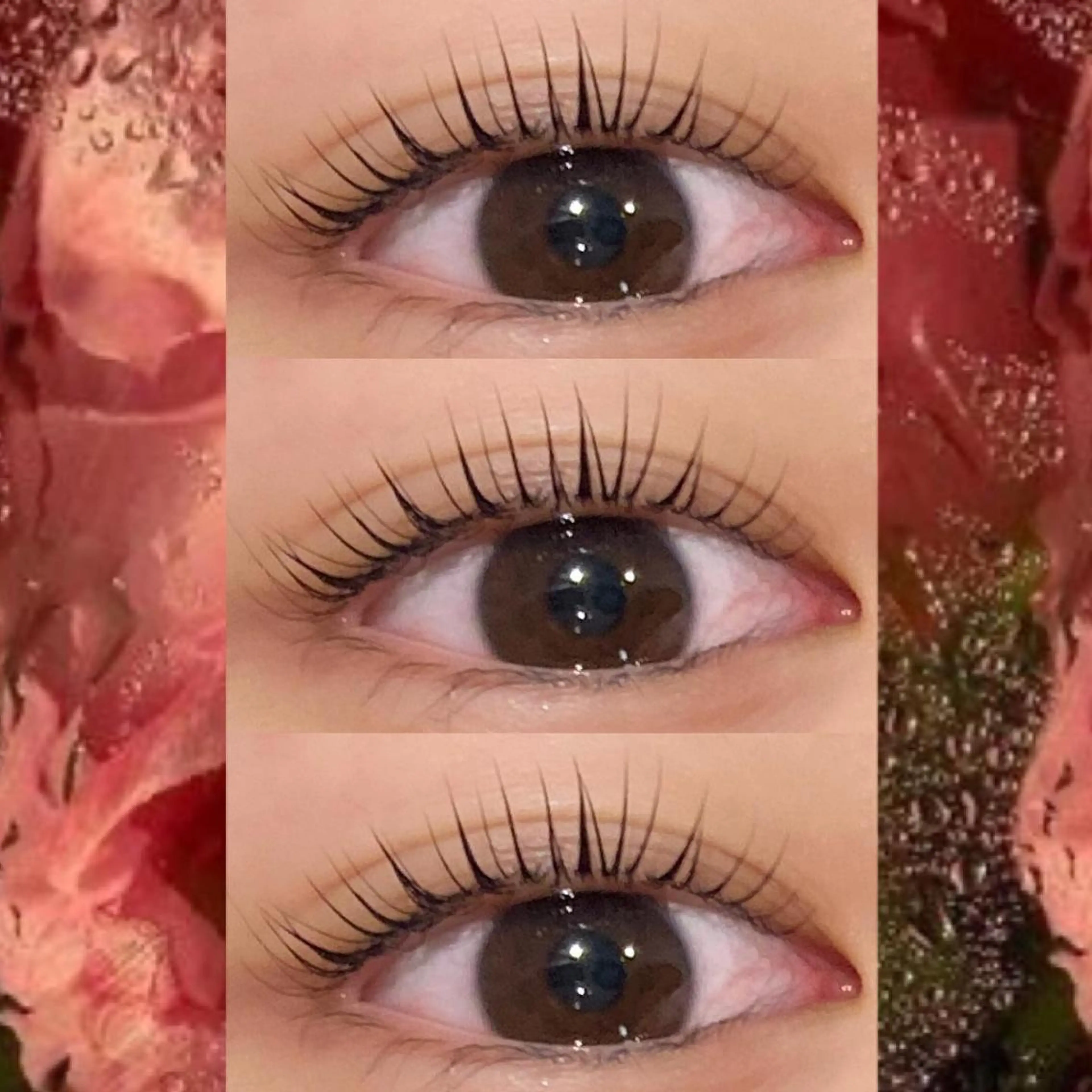 マツエク・マツパ ブラウンラッシュ カラーマツエク フラットラッシュ 韓国風マツエク まつげパーマ orihara𐙚 まつげパーマ/眉毛のマツエク・マツパデザイン