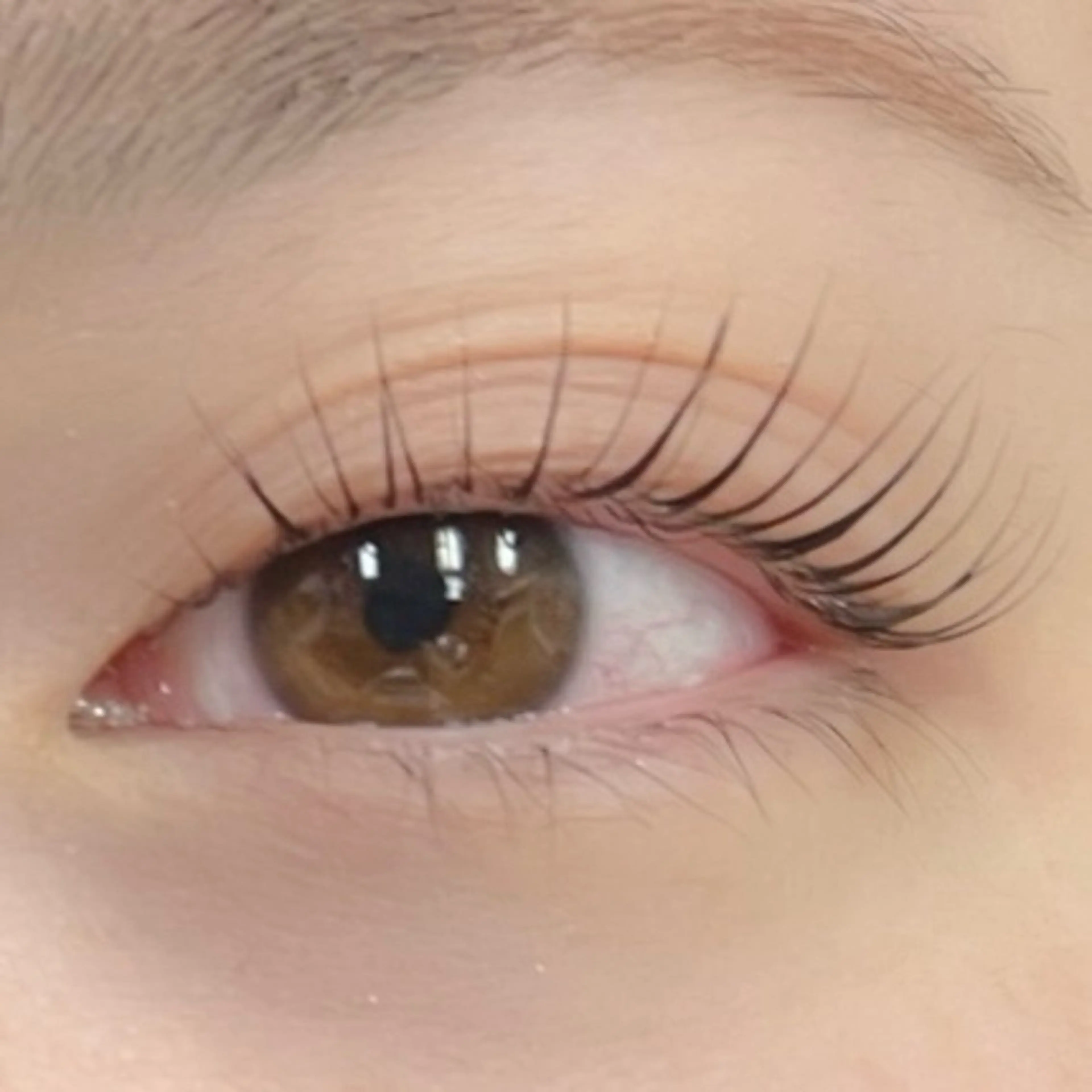 マツエク・マツパ Moe/韓国風/ 束感/キュート❤︎のマツエク・マツパデザイン