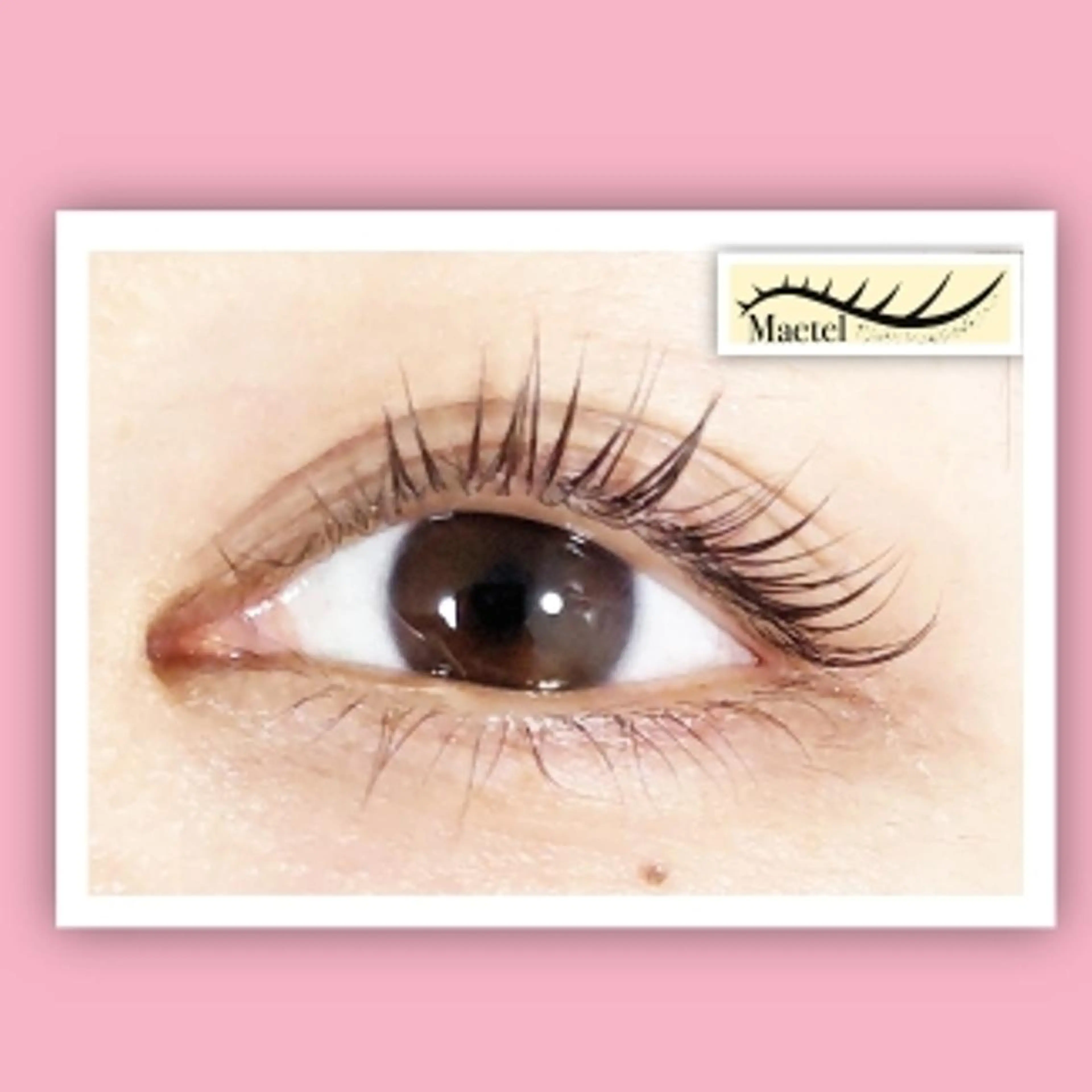 マツエク・マツパ 🎼グラデーション スタイル札幌♫*⁠✧のマツエク・マツパデザイン