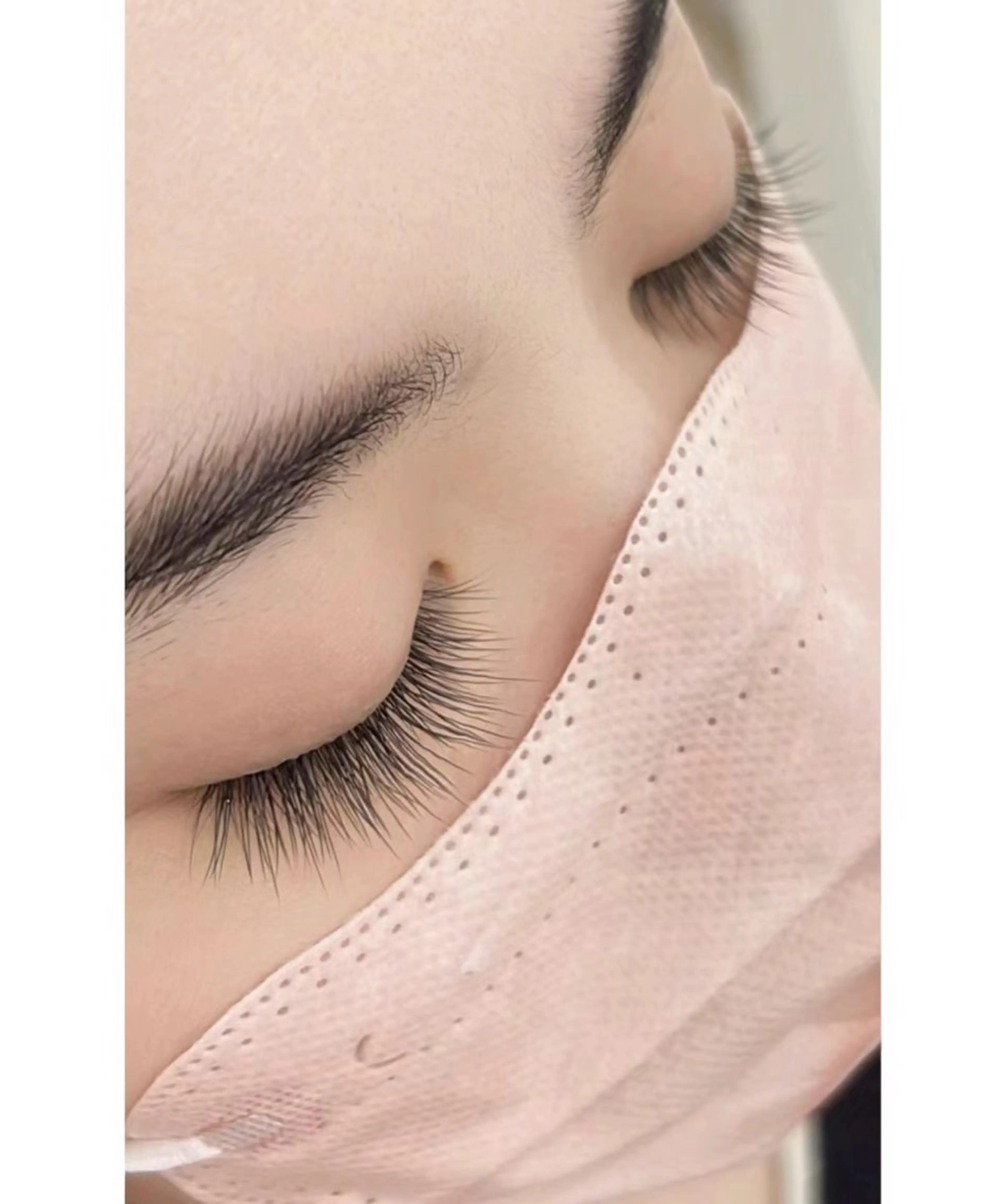 ナチュラル120本の写真