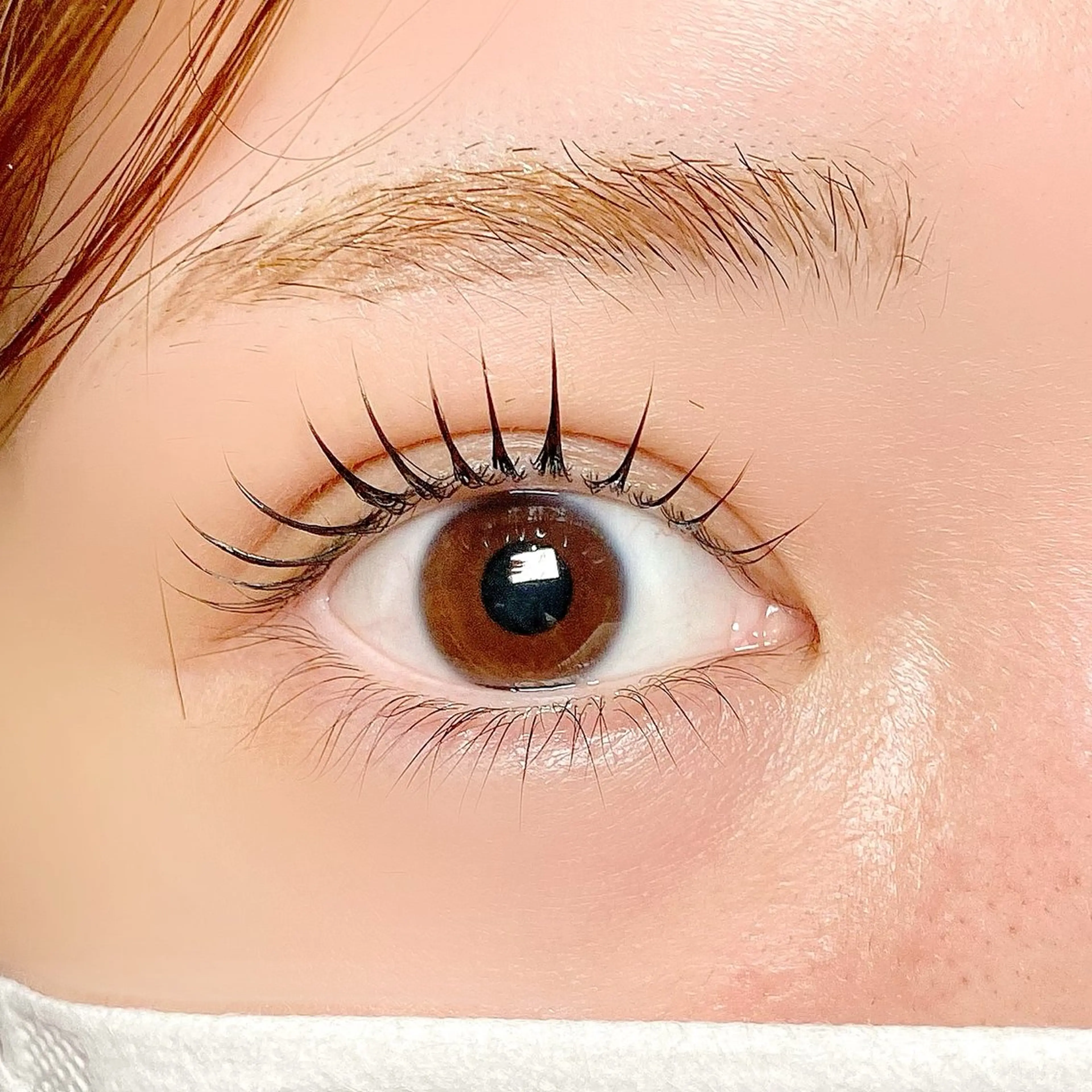 マツエク・マツパ 束感まつ毛 フラットラッシュ 韓国風マツエク パリジェンヌラッシュリフト まつげパーマ マツパ パリジェンヌ上下 恵比寿ayakaのマツエク・マツパデザイン