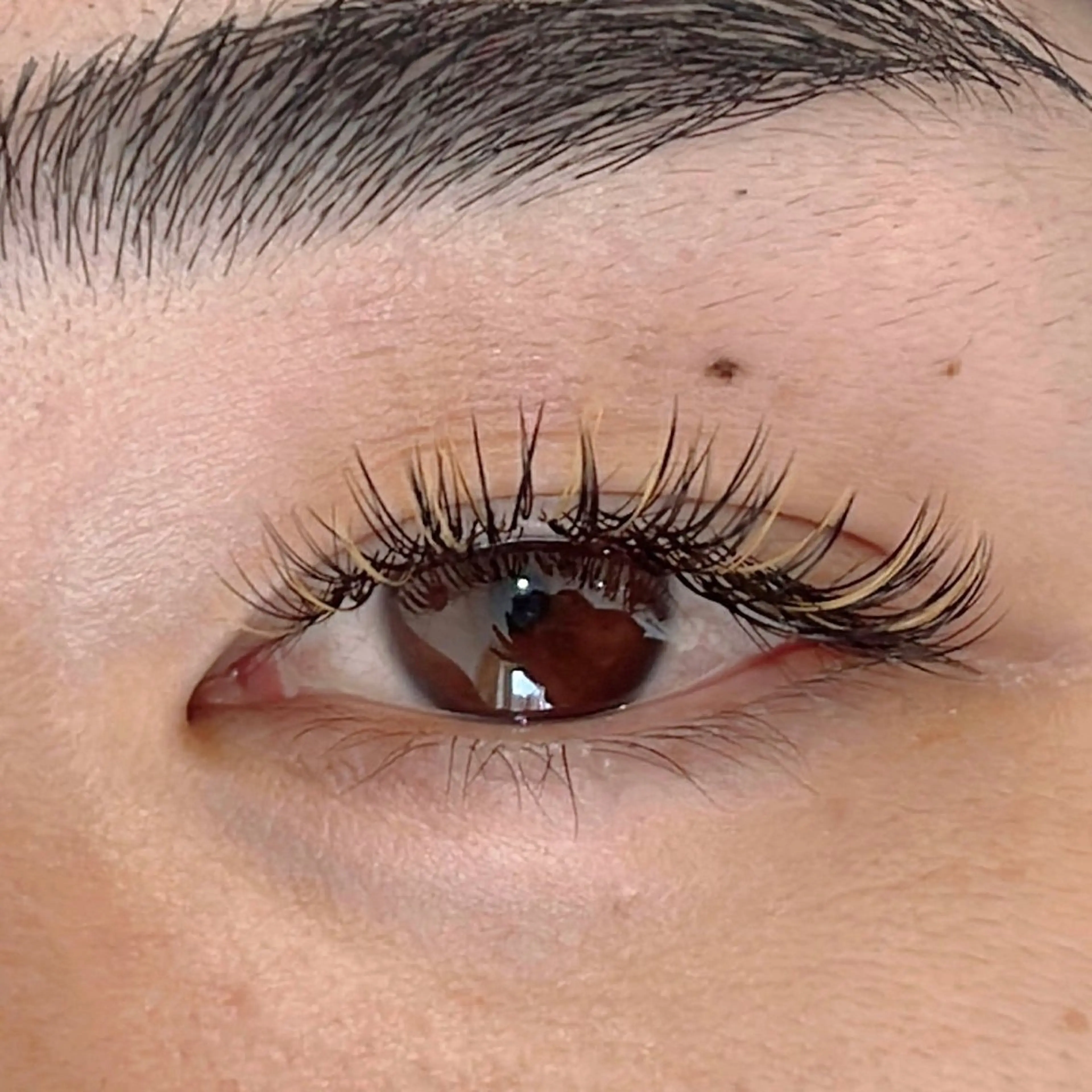 メンズ マツエク・マツパ Embellir/ "Aine"🕊のマツエク・マツパデザイン