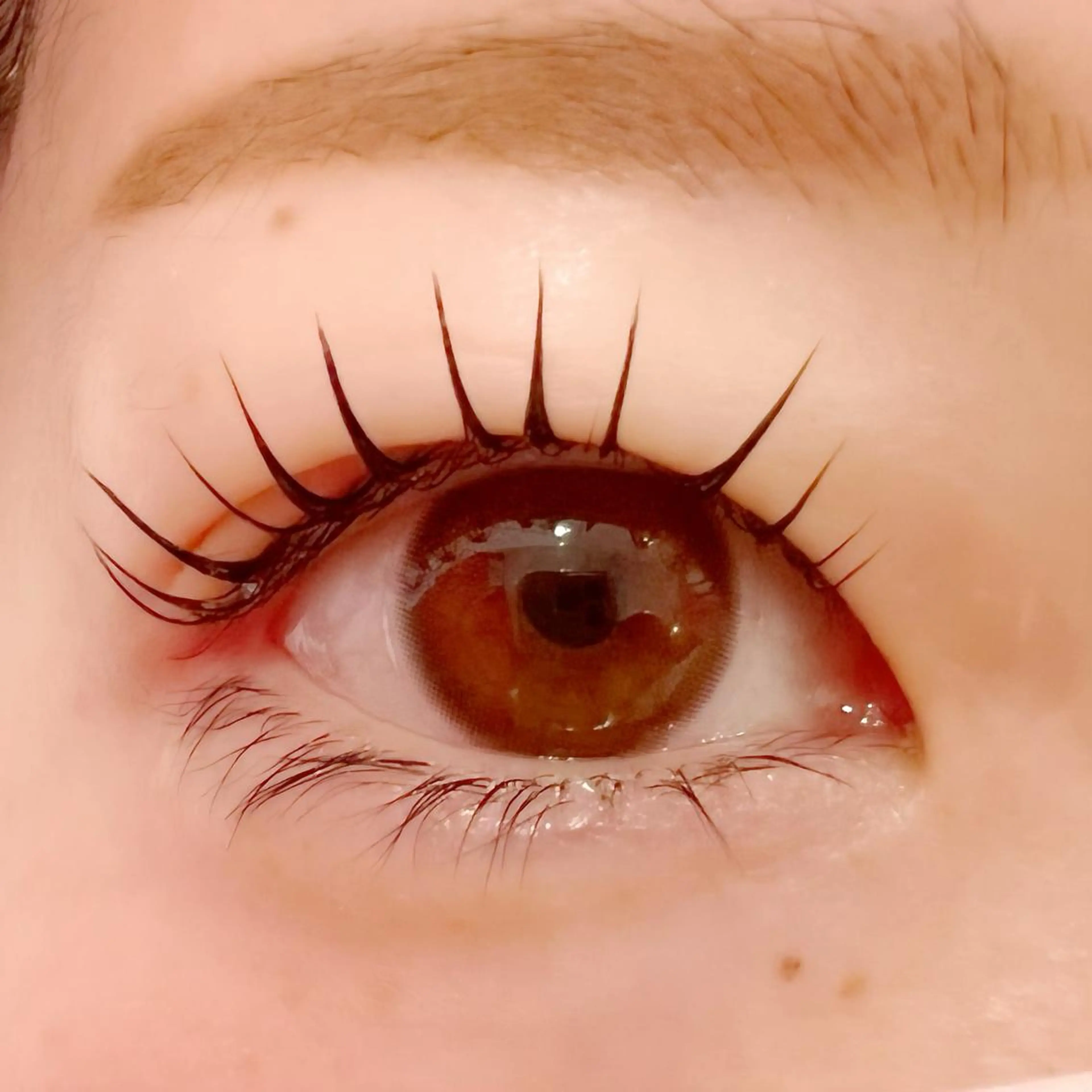 マツエク・マツパ パリジェンヌラッシュリフト Celeste Venus所属・🧸Celeste Venusのマツエク・マツパデザイン