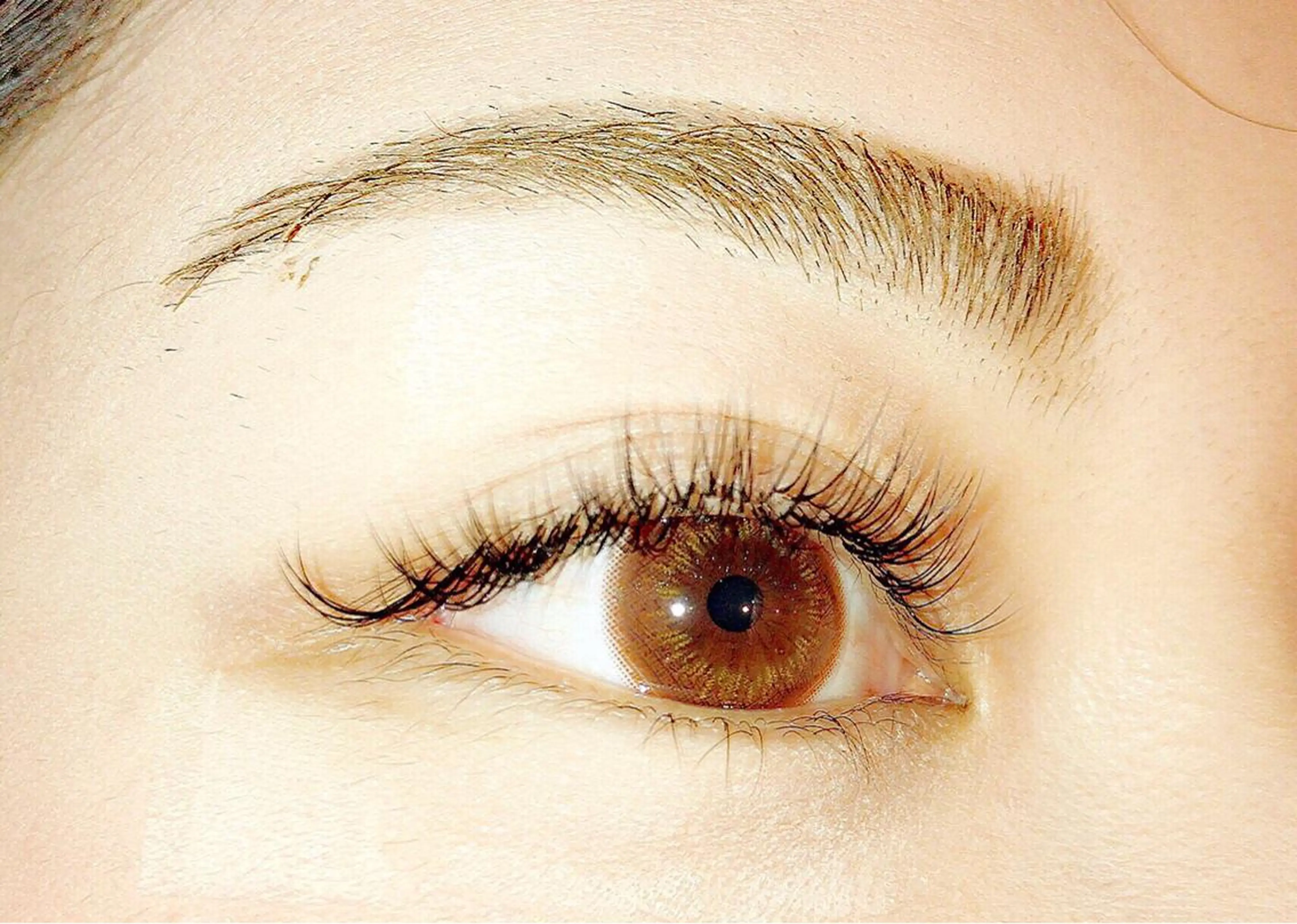 マツエク・マツパ 野崎 ひかりのヘアスタイル