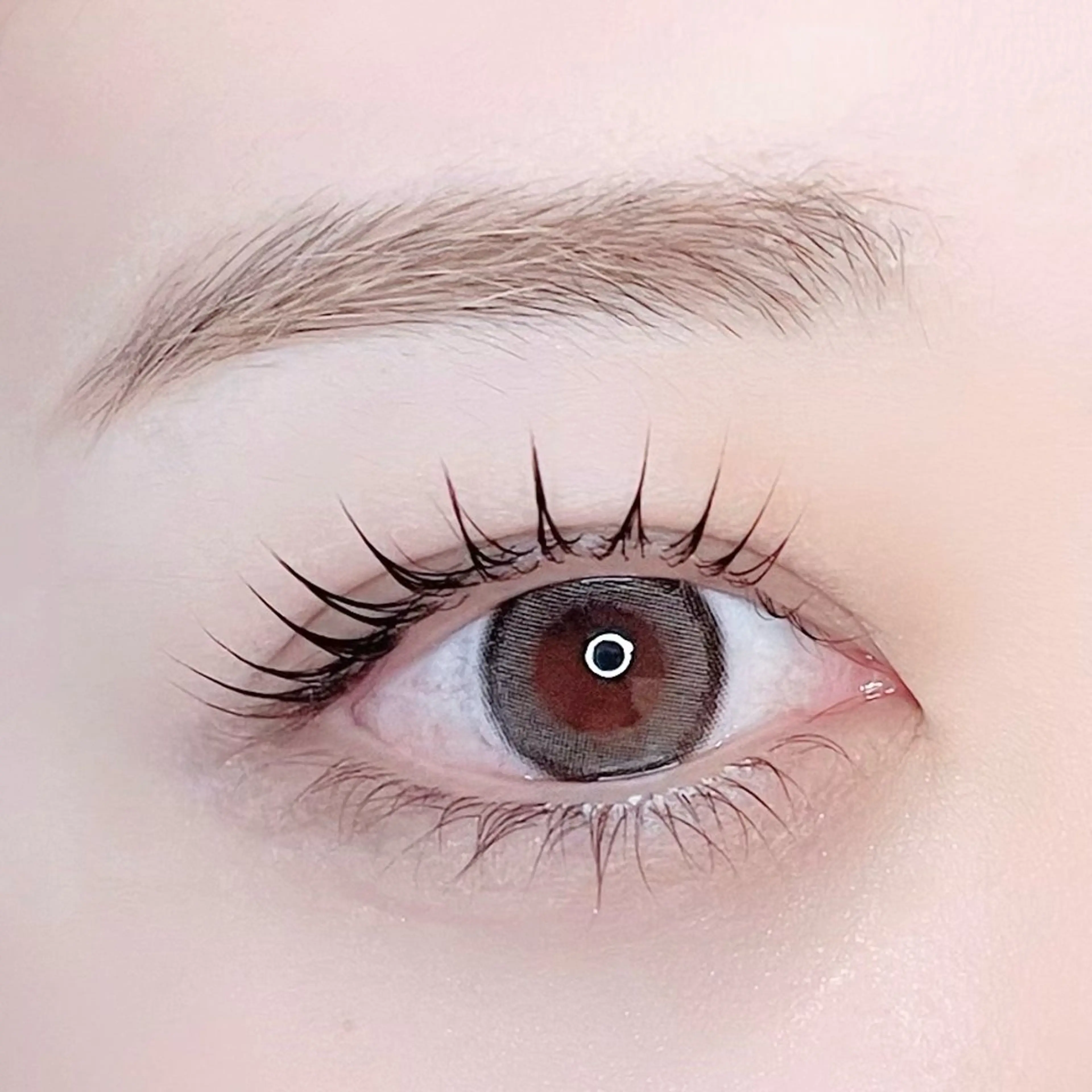 マツエク・マツパ マツパ NADIA coniのマツエク・マツパデザイン