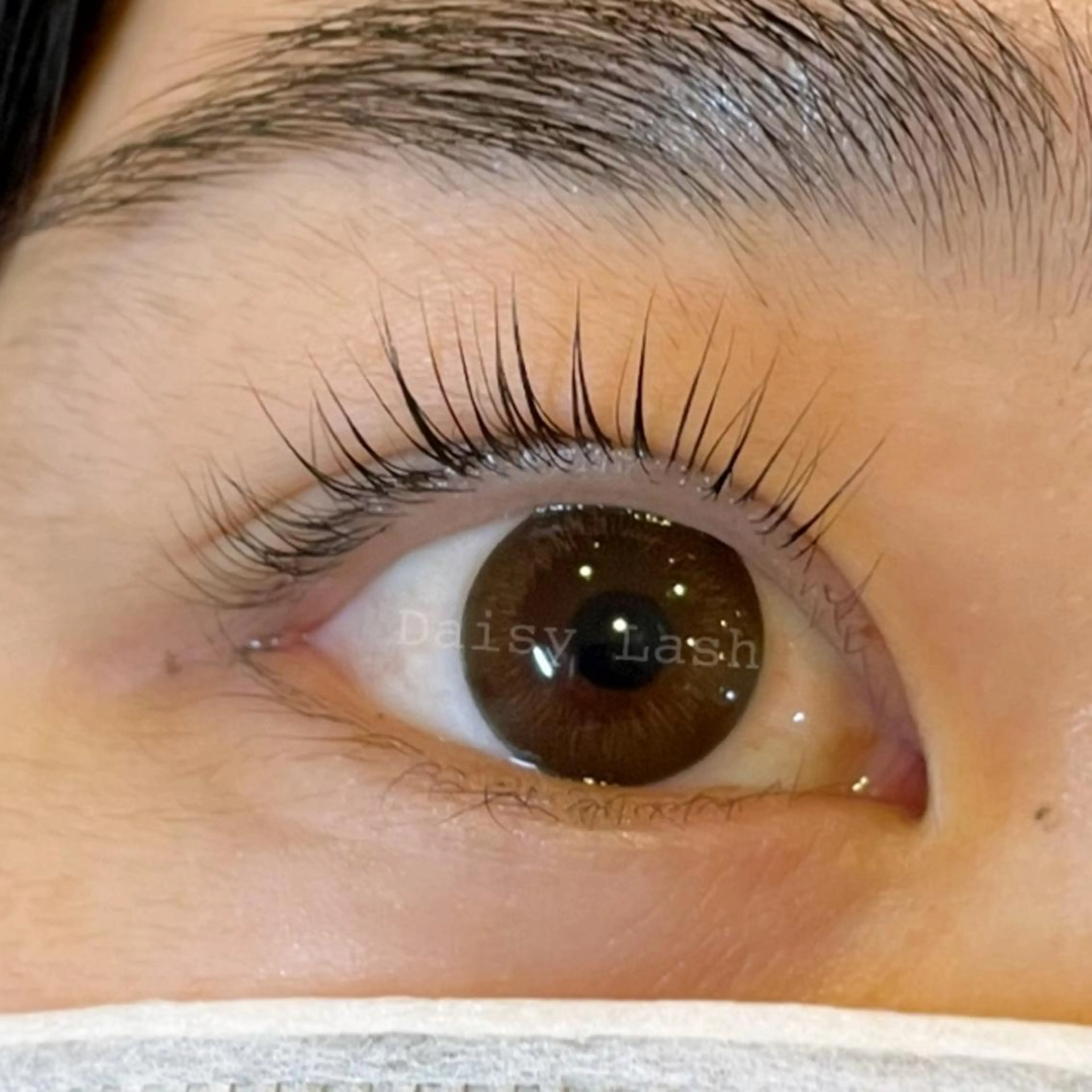 マツエク・マツパ パリジェンヌラッシュリフト Daisy Lash 梅田本店のマツエク・マツパデザイン