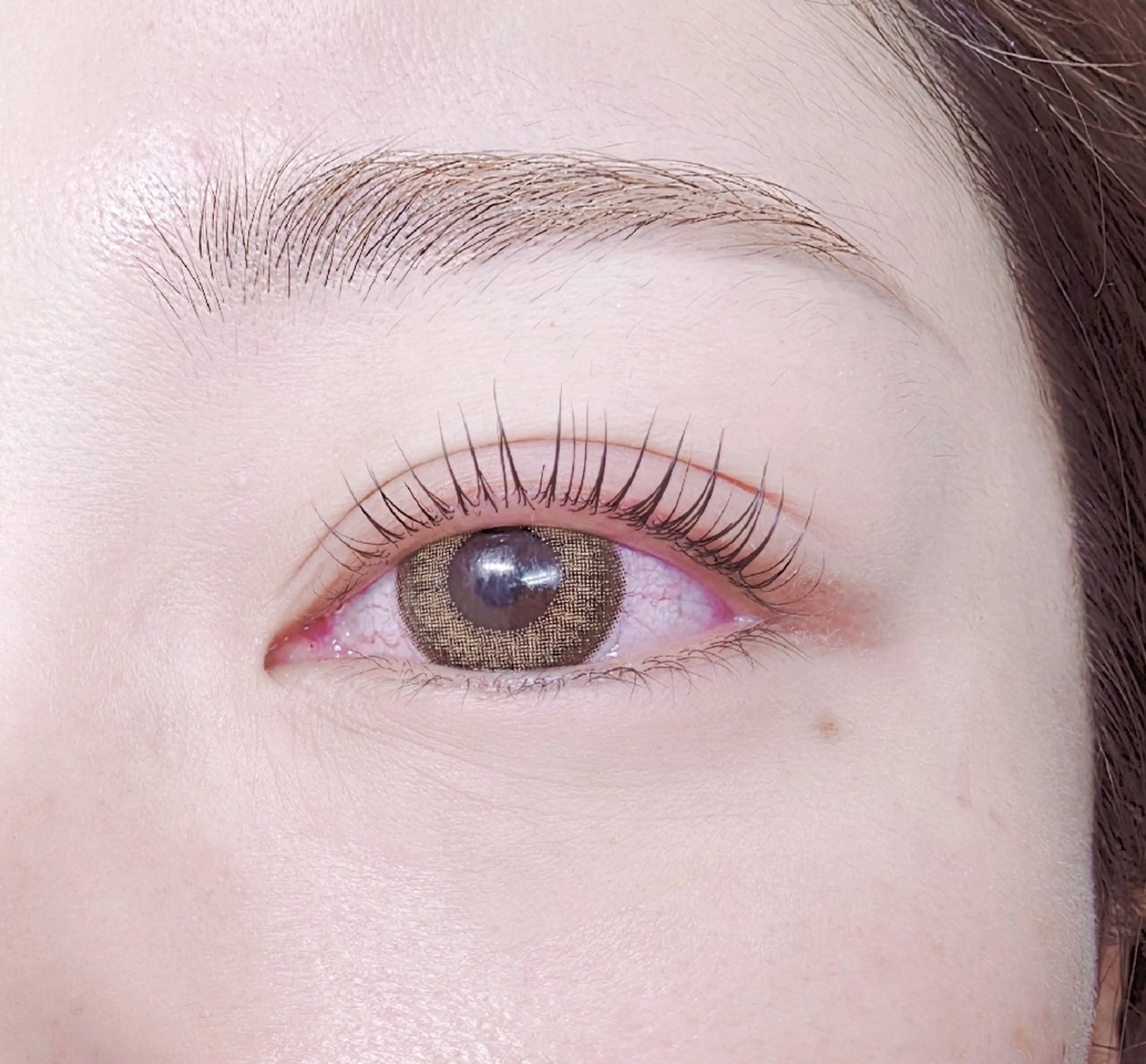 限定価格☆パリジェンヌラッシュリフトの写真