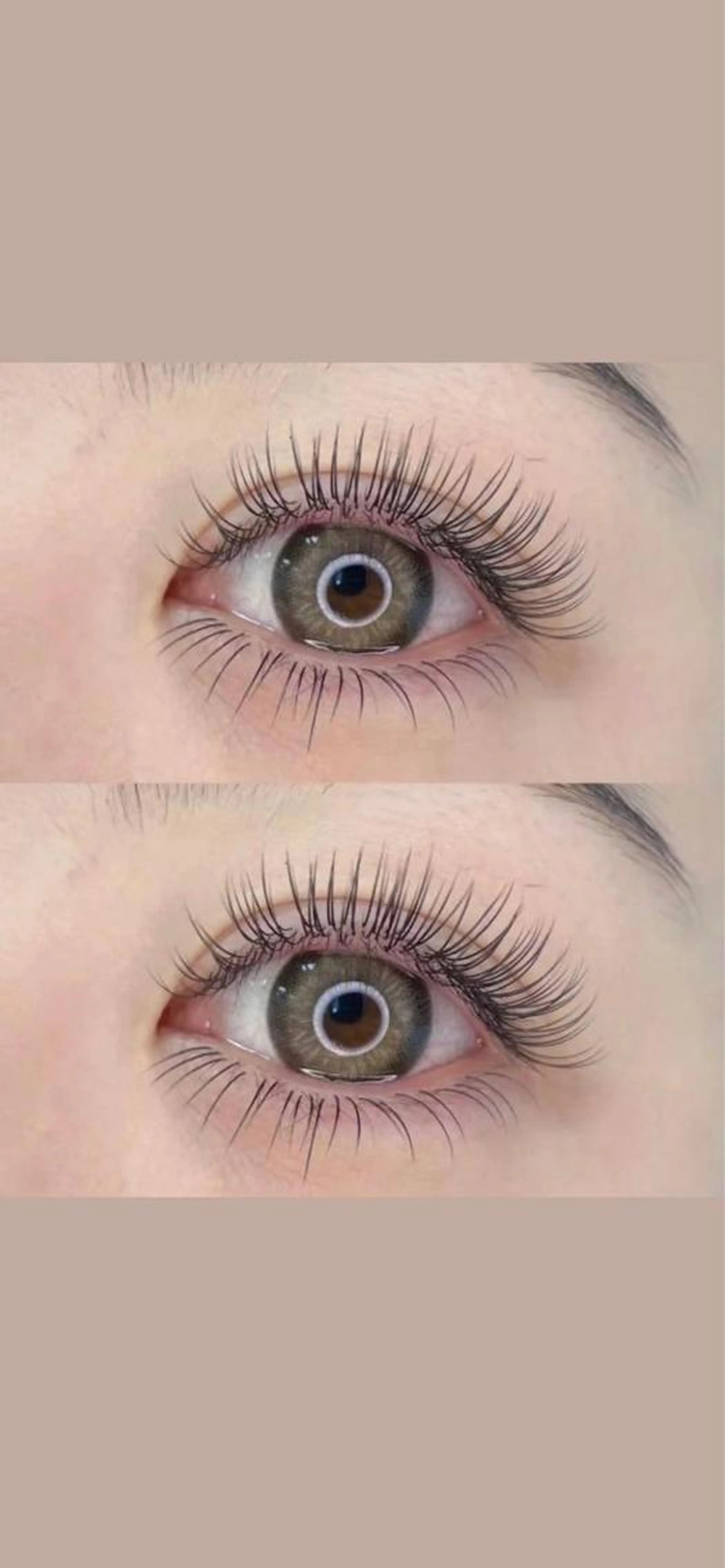 人気Ｎｏ．One📣フラットラッシュ💚120本保証、無制限付け放題... (オフ別途)コーティング付✨🍒の写真