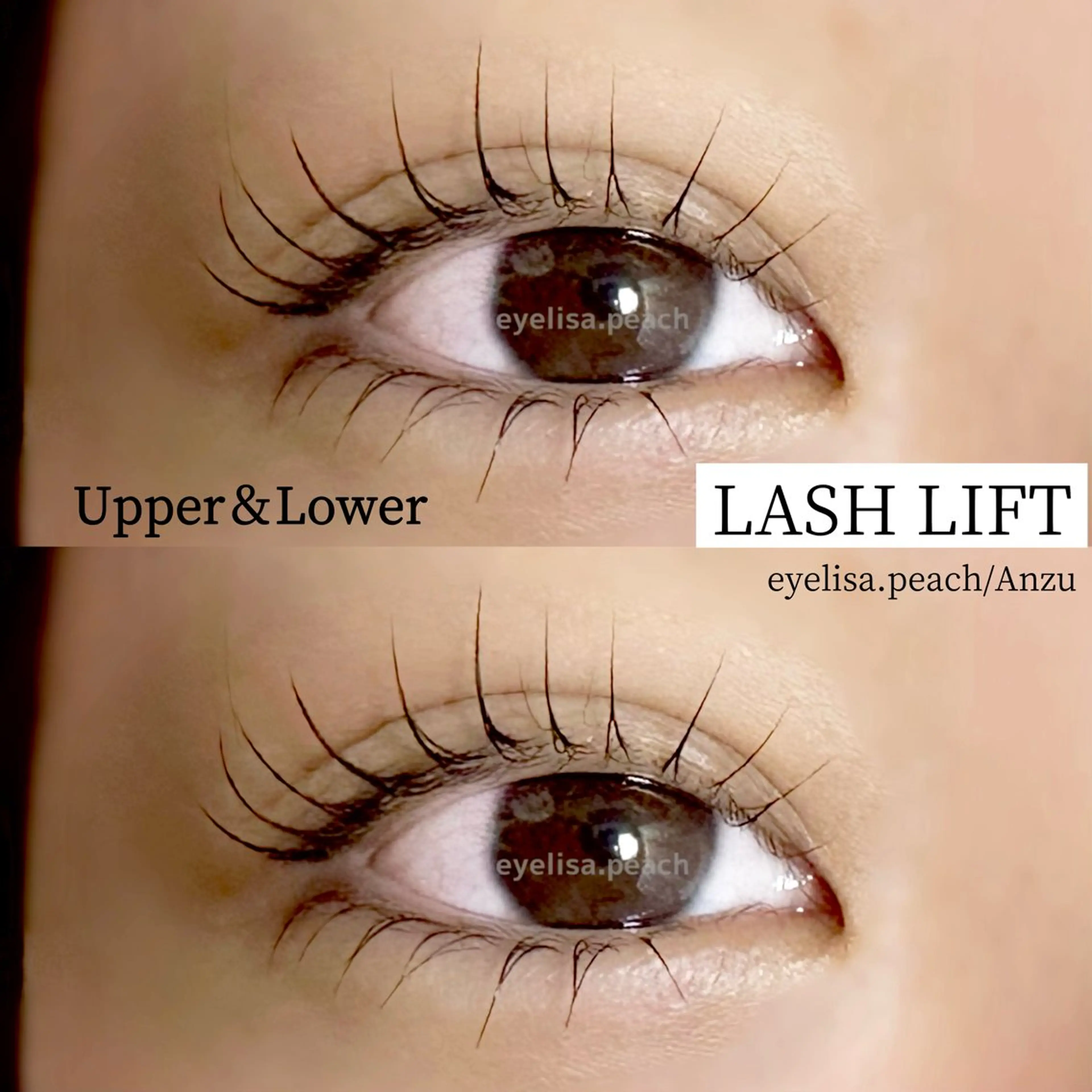 マツエク・マツパ 下まつげエクステ 一重×まつ毛パーマ Salon　Peach所属・Peach あんずのマツエク・マツパデザイン