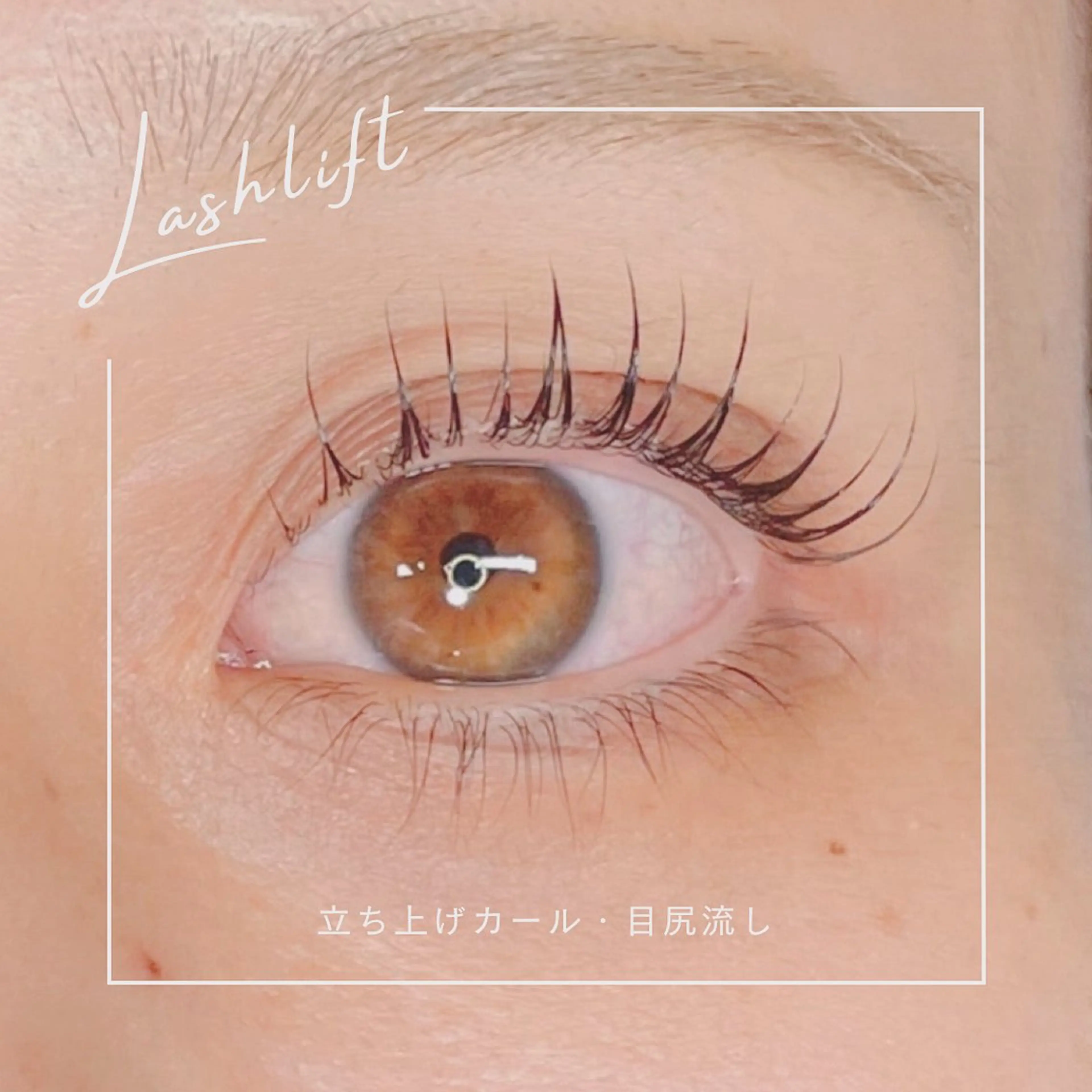 マツエク・マツパ マツパ 𝕁𝔼𝕃𝕃𝕐 𝕃𝔸𝕊ℍのマツエク・マツパデザイン