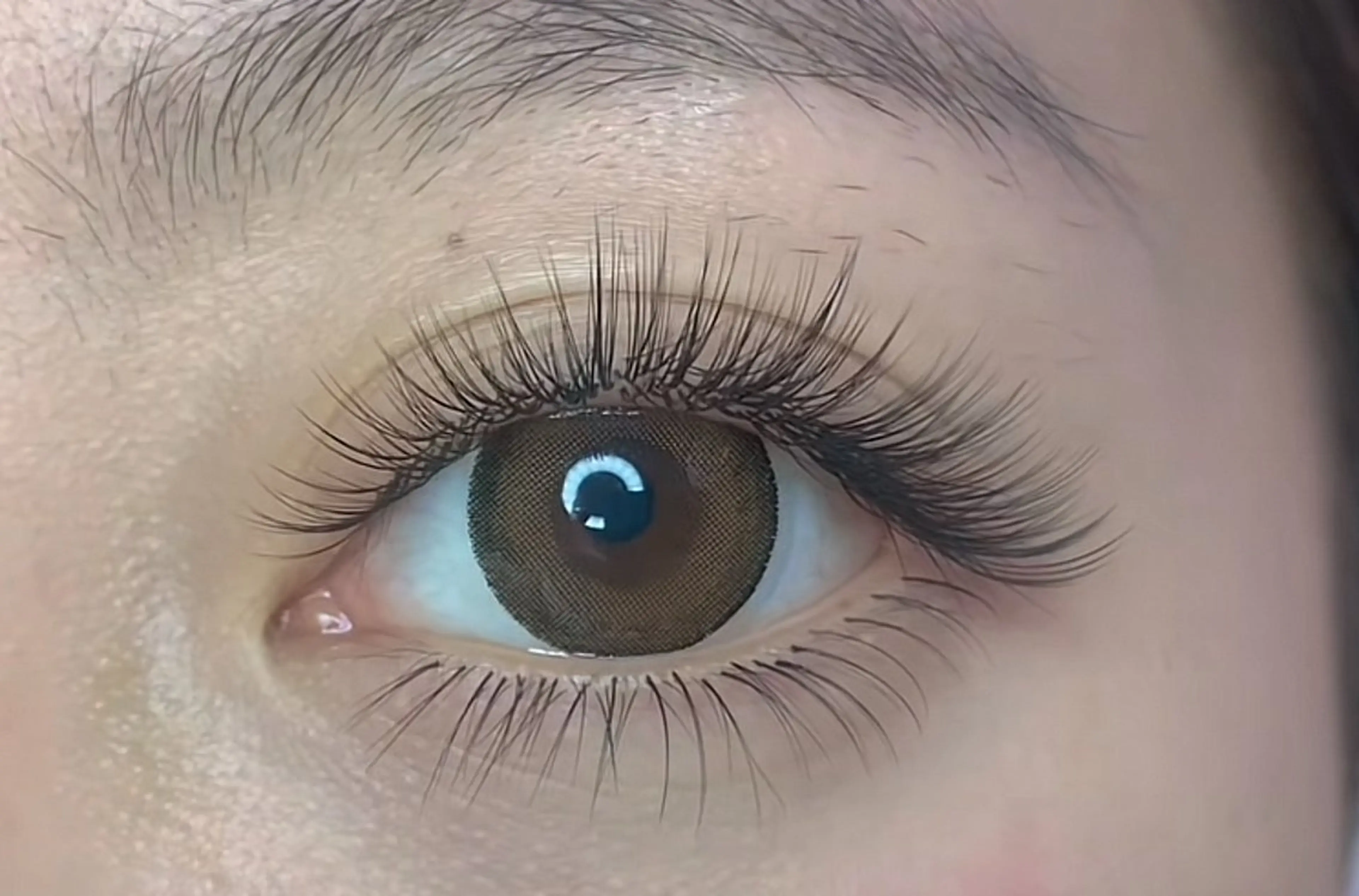 🌸【最新超軽量】🌸ダブルフラットラッシュ140束➕キープ美容液🧚🏻‍♀️の写真