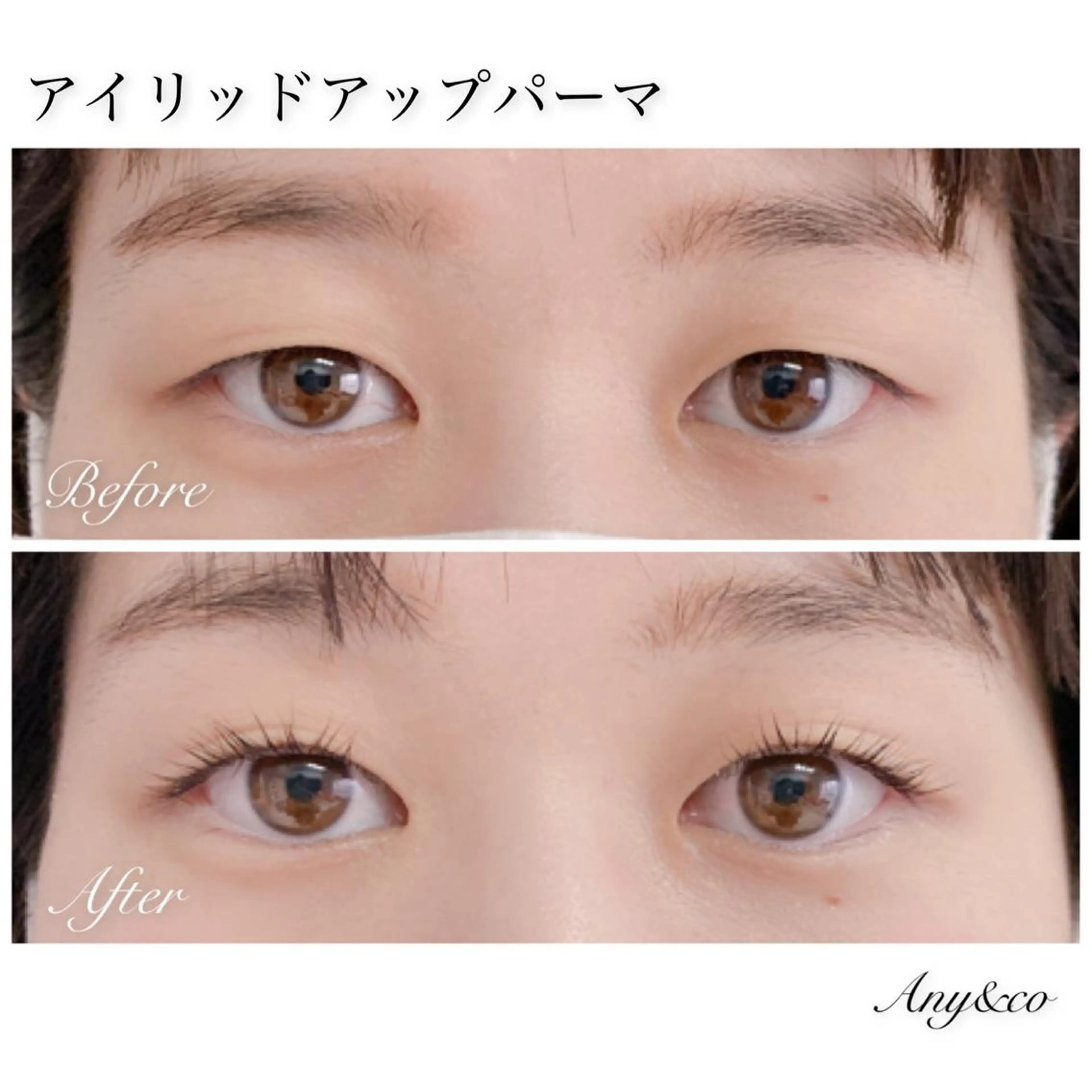 マツエク・マツパ アイリッドアップパーマ Any&co 【エニコ】のマツエク・マツパデザイン