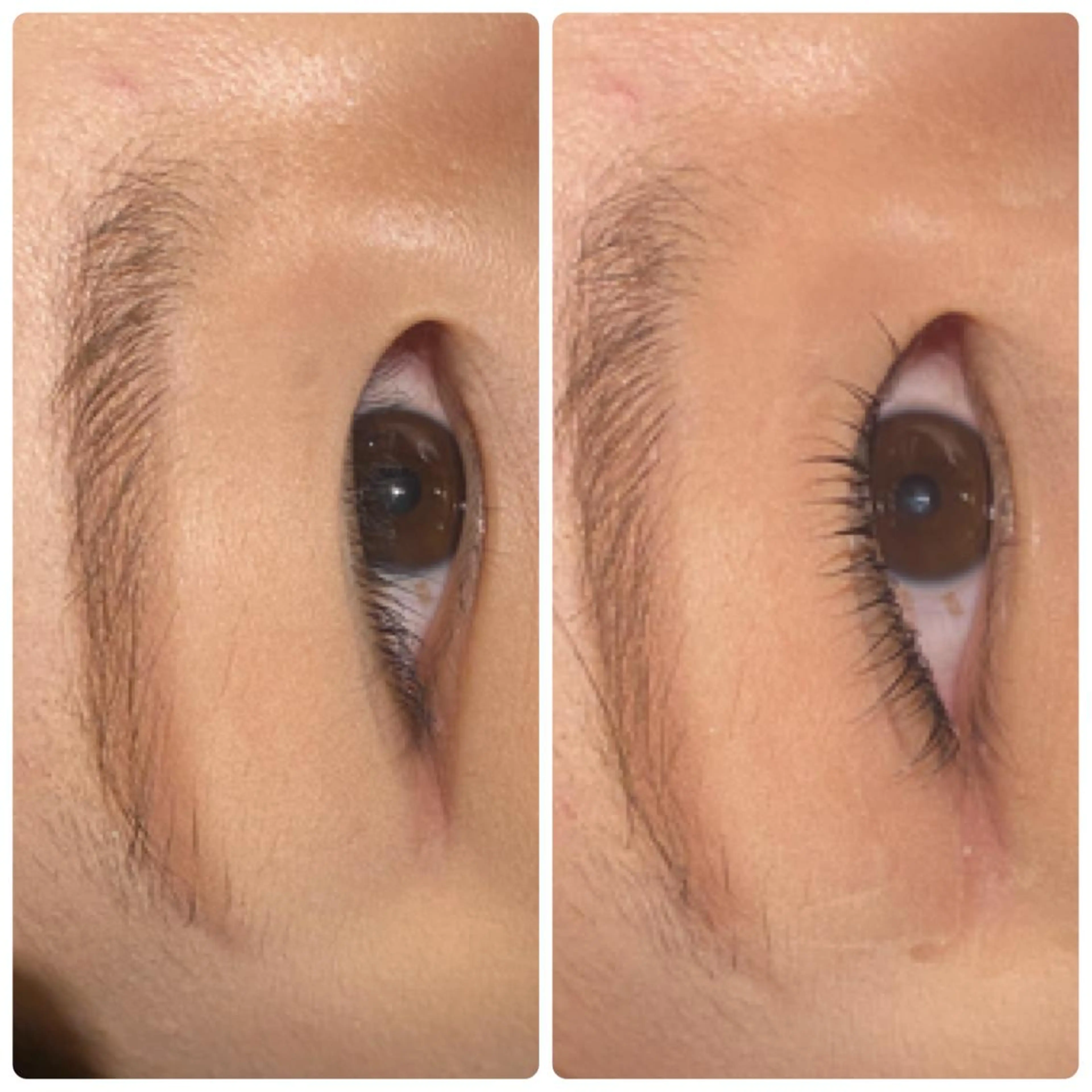 マツエク・マツパ なかがわ せいかのマツエク・マツパデザイン