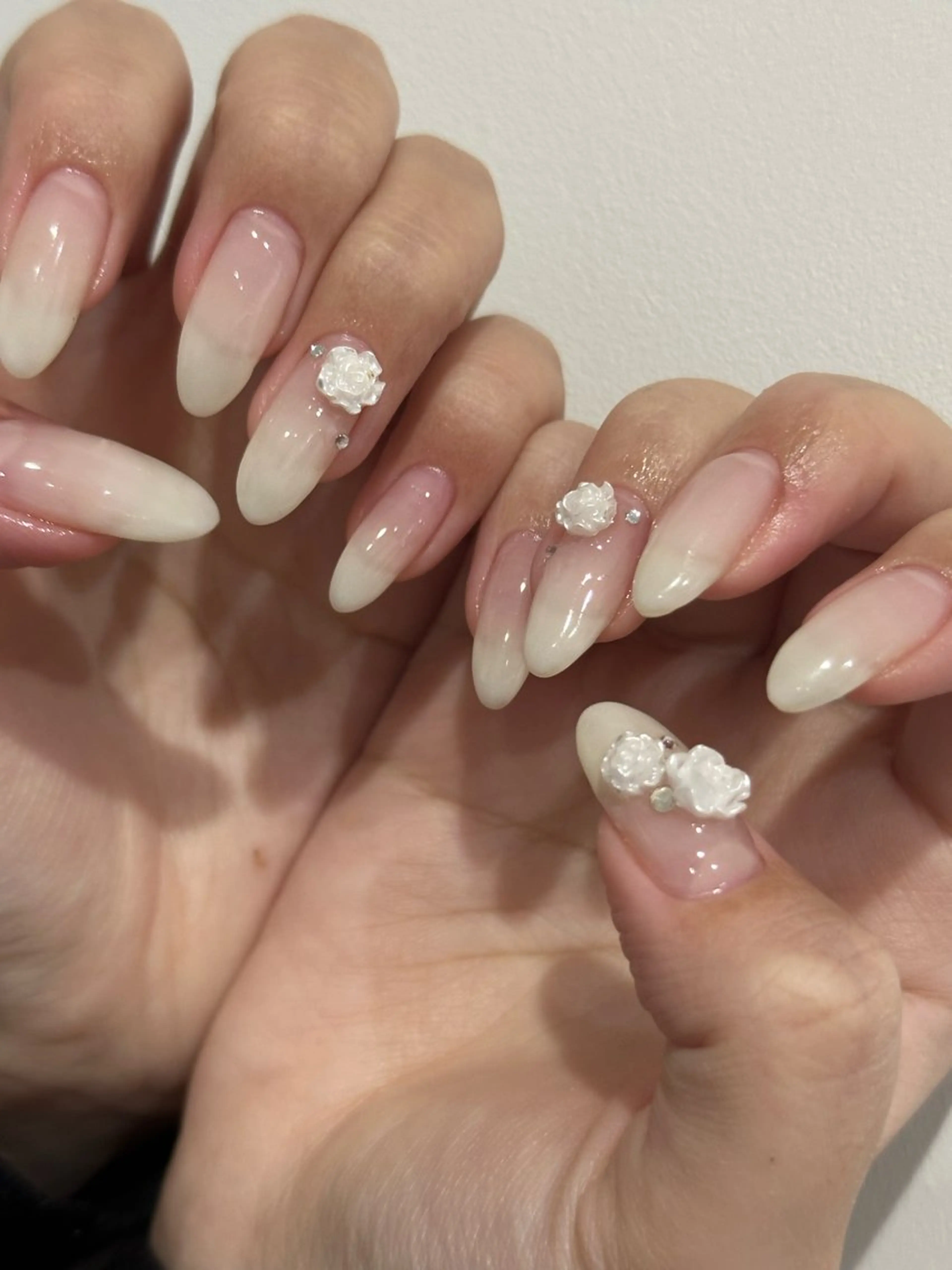 カラーグラデーションの写真