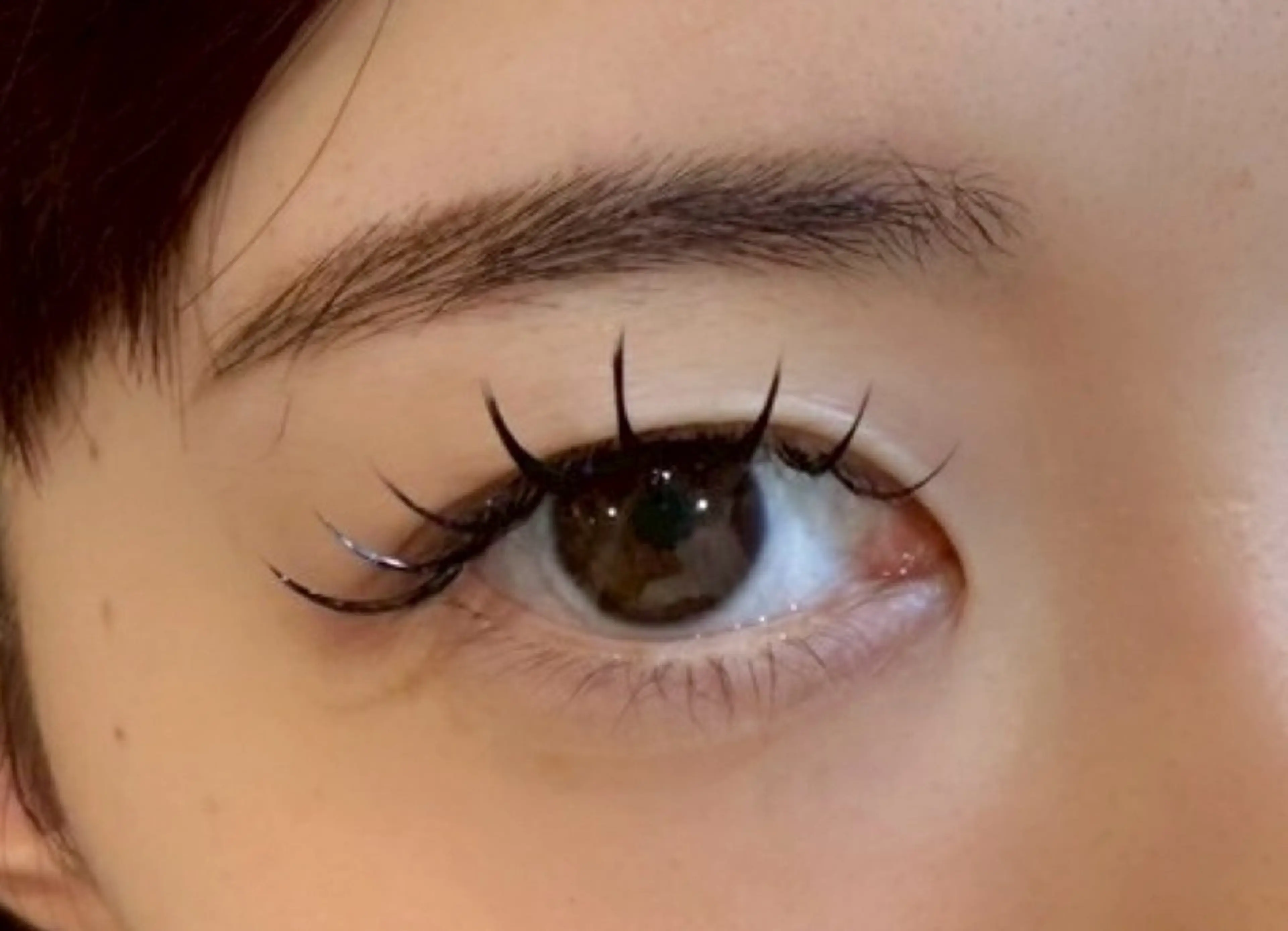 🎀フラットラッシュ🎀100本の写真