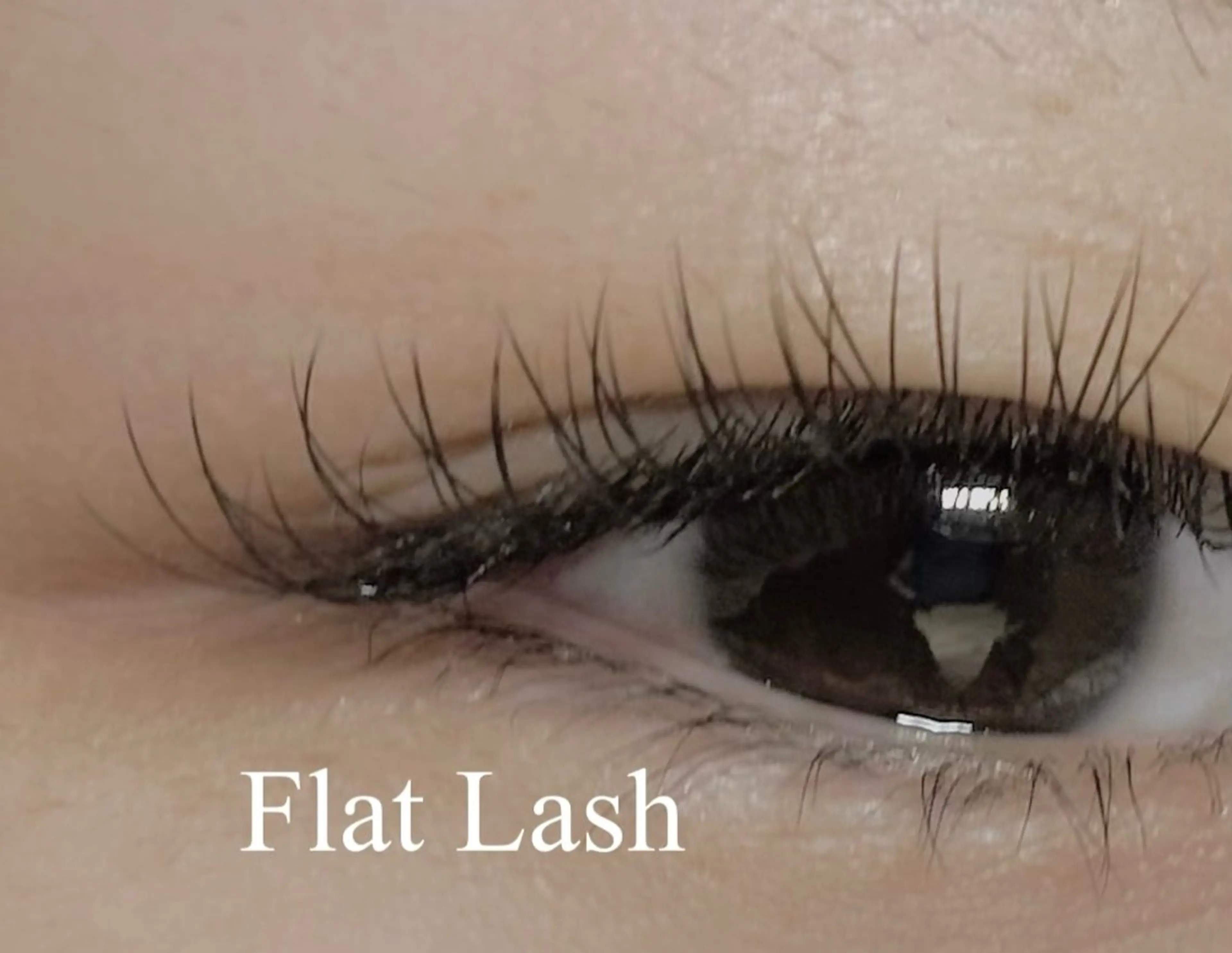 マツエク・マツパ フラットラッシュ tres AYANEのマツエク・マツパデザイン