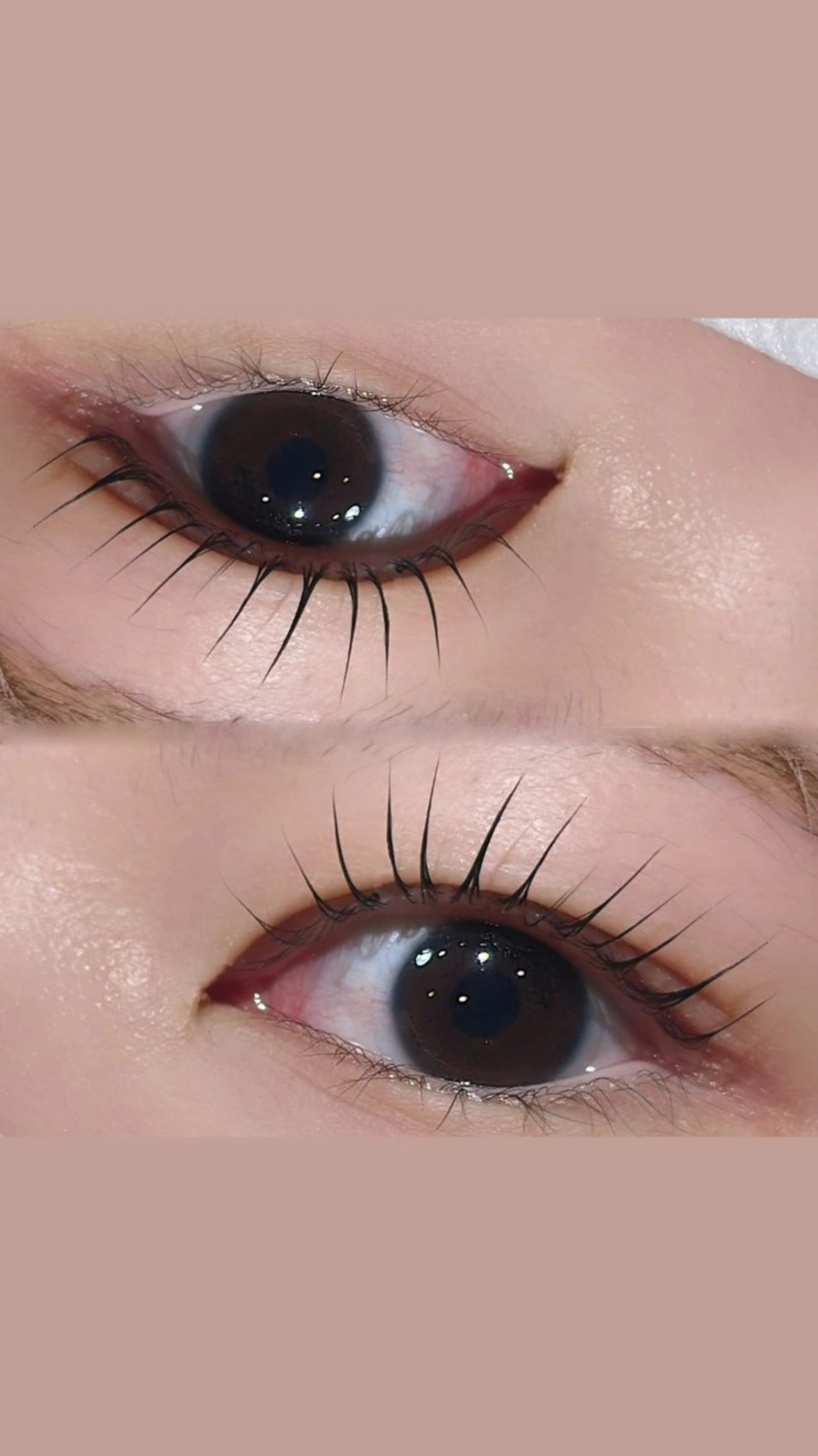 【2回目以降の方はこちら💁‍♀️】🎀選べる上まつ毛パーマ/韓国ロッド各種🎀の写真