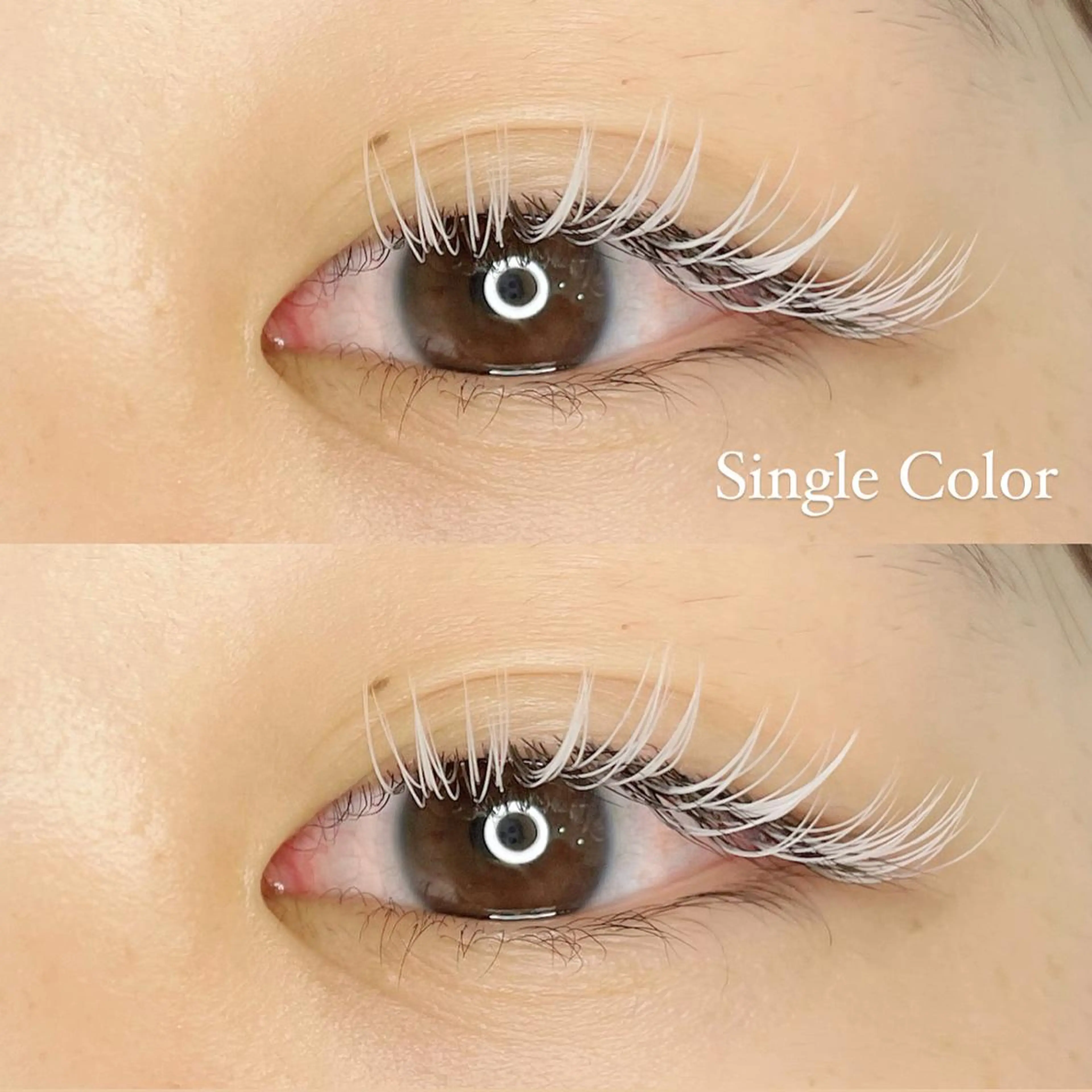 マツエク・マツパ パリジェンヌ/美眉 OLIVIA加藤のマツエク・マツパデザイン