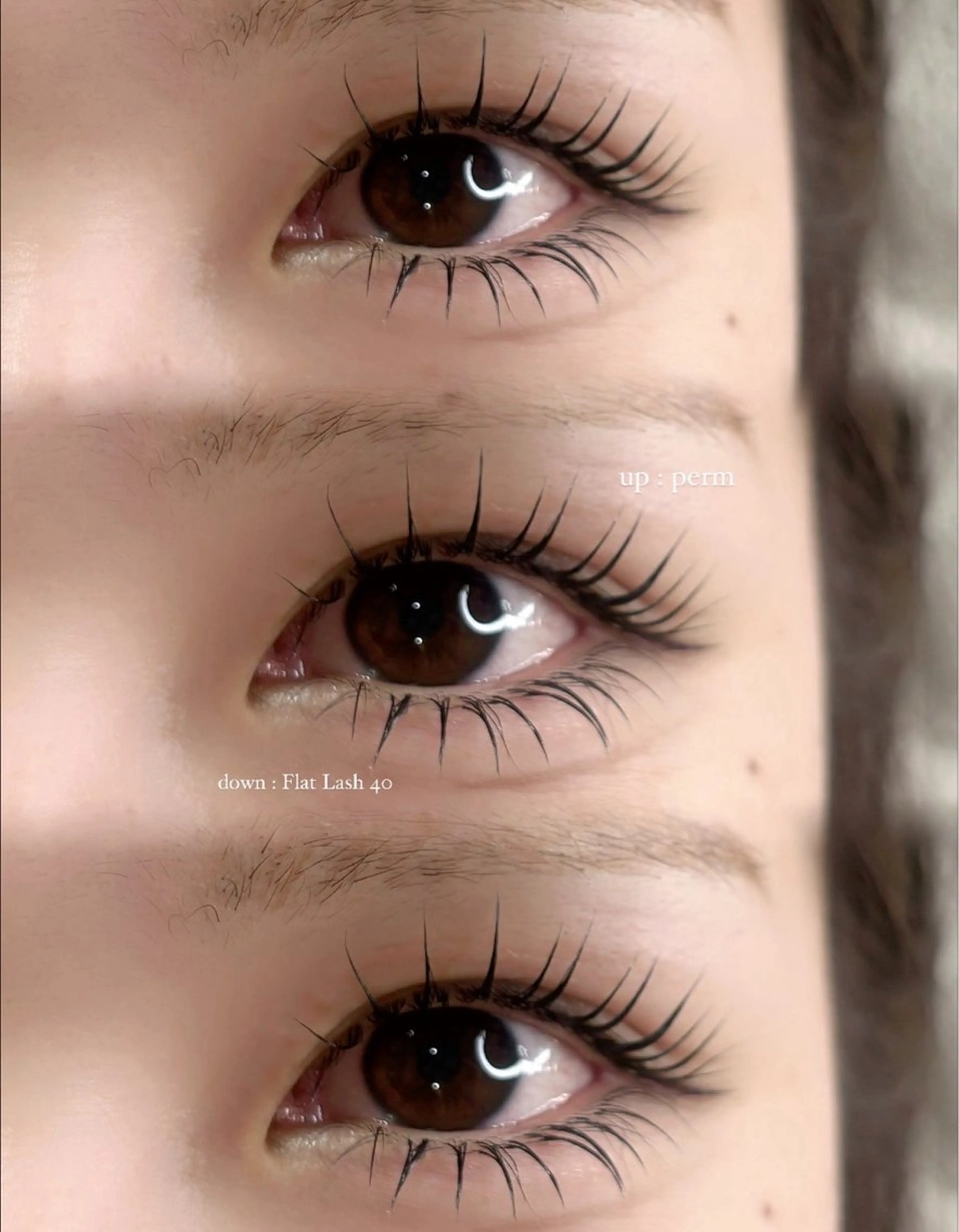 マツエク・マツパ La Chouette所属・LaChouette / Maikaのマツエク・マツパデザイン