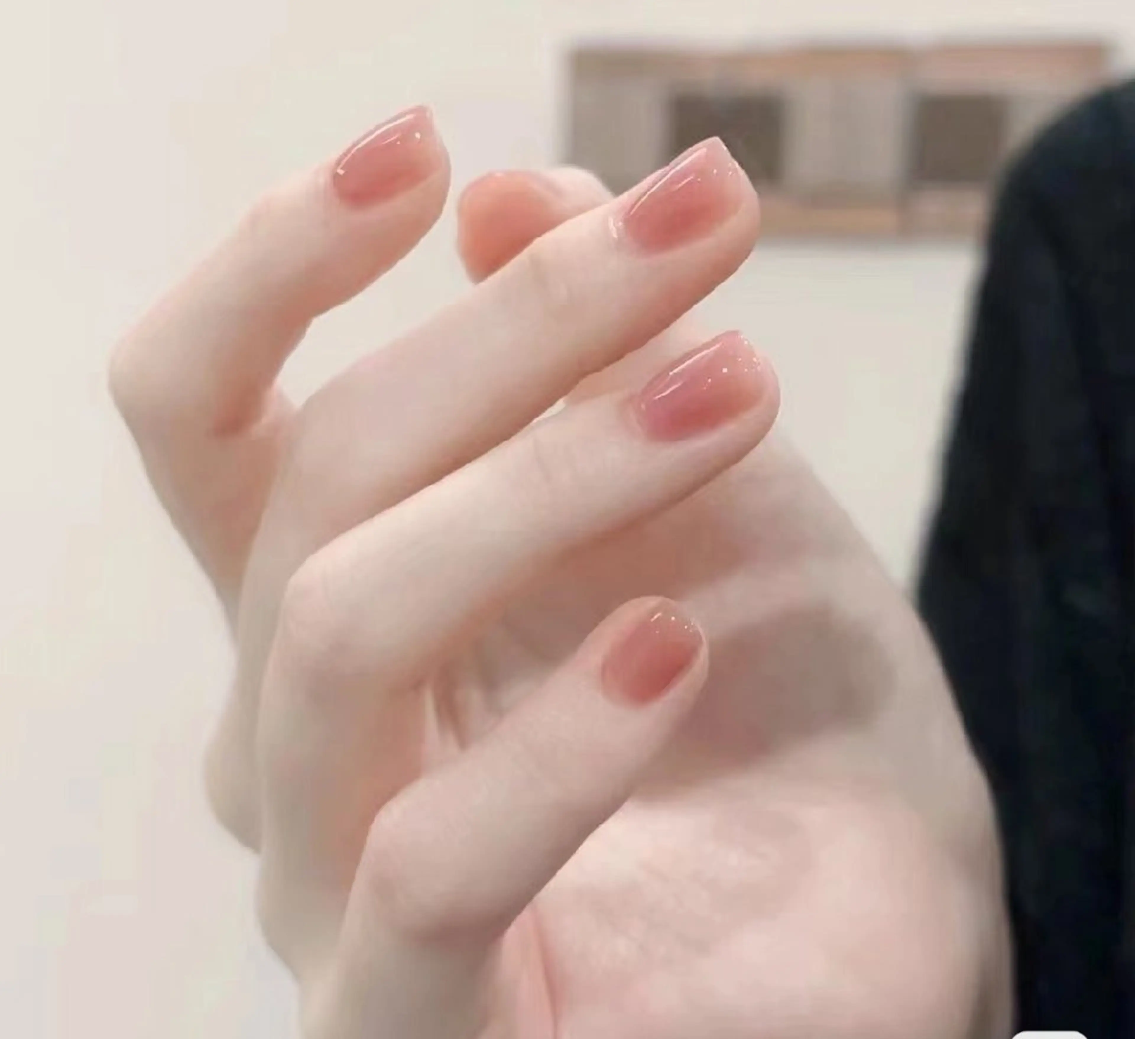 ワンカラーの写真