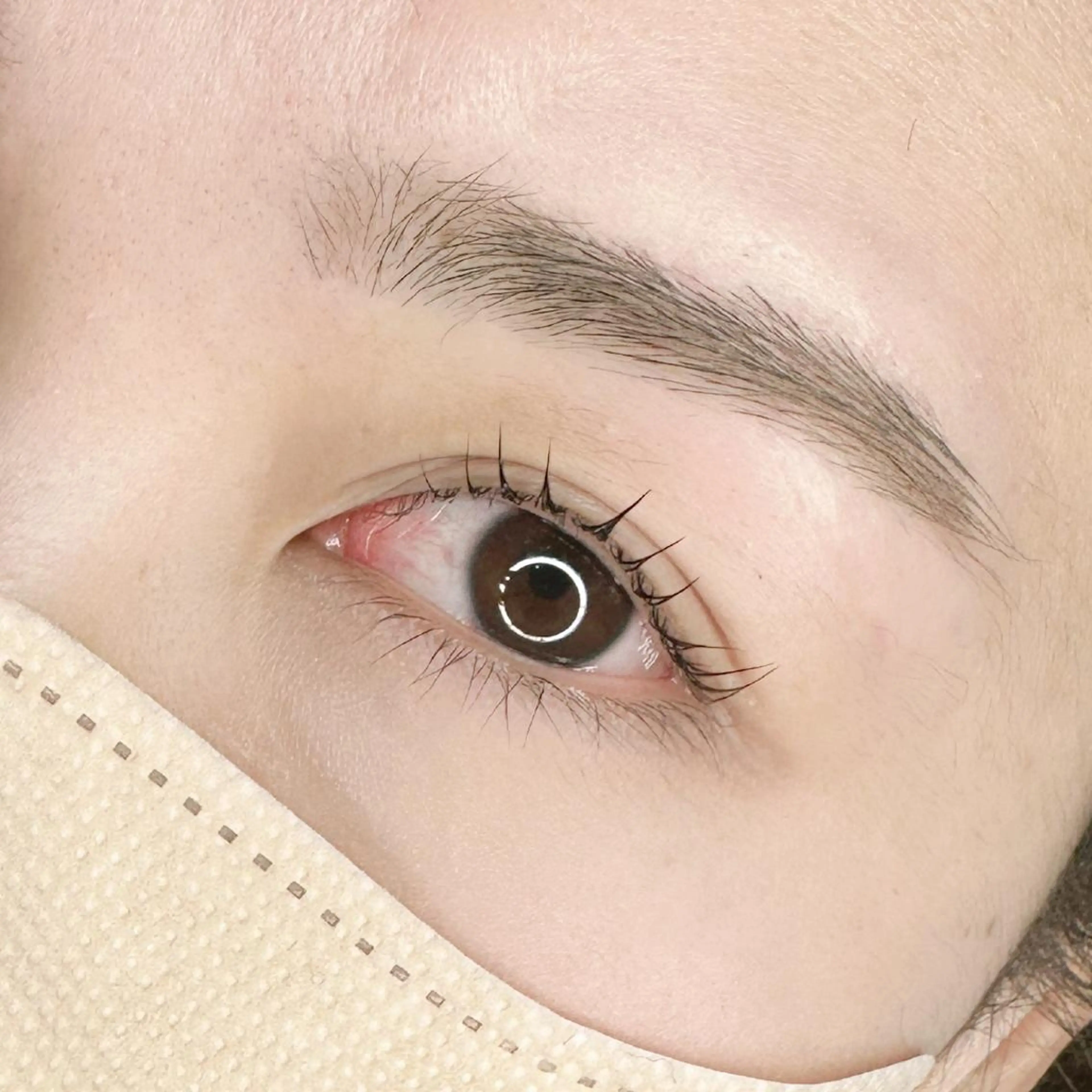 まつ毛パーマ上下の写真