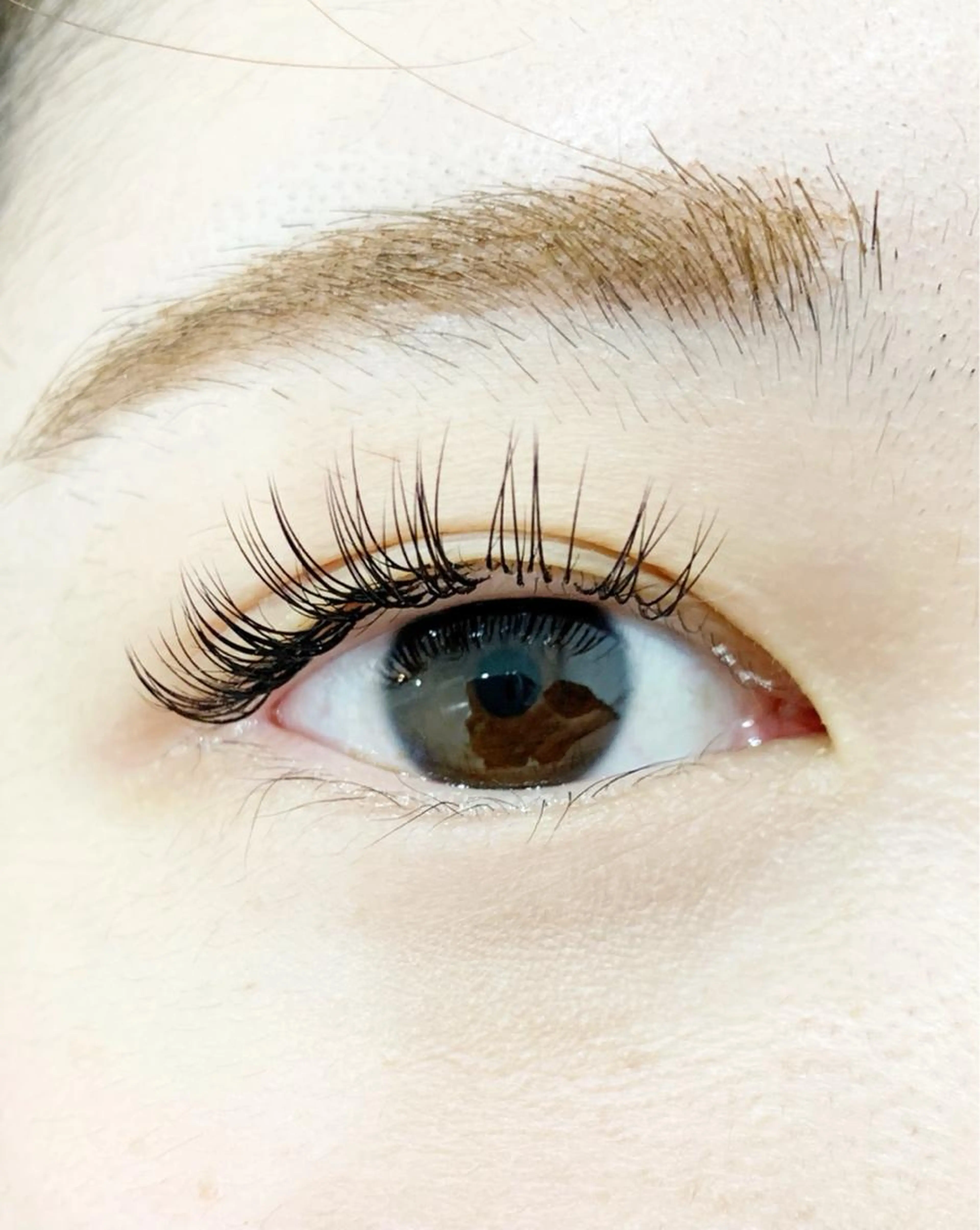 アップワードラッシュ100本🌷フラットラッシュ(オフ込、付け足しOK)の写真