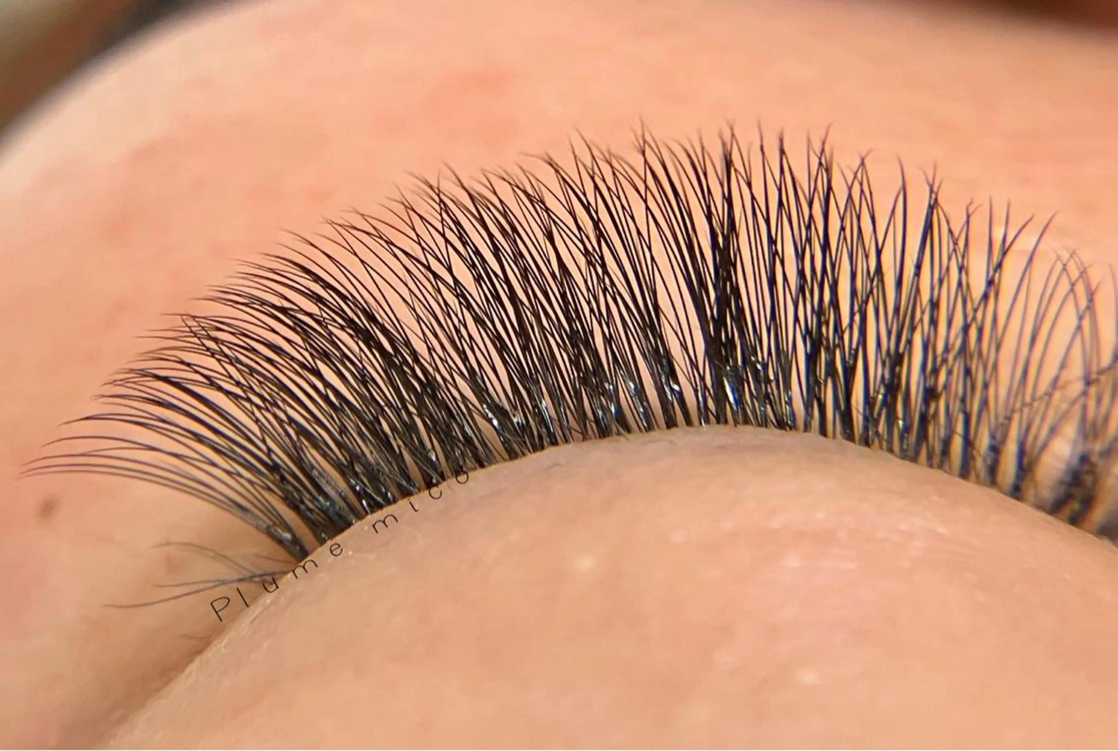 マツエク・マツパ マツエク Plume micoのマツエク・マツパデザイン